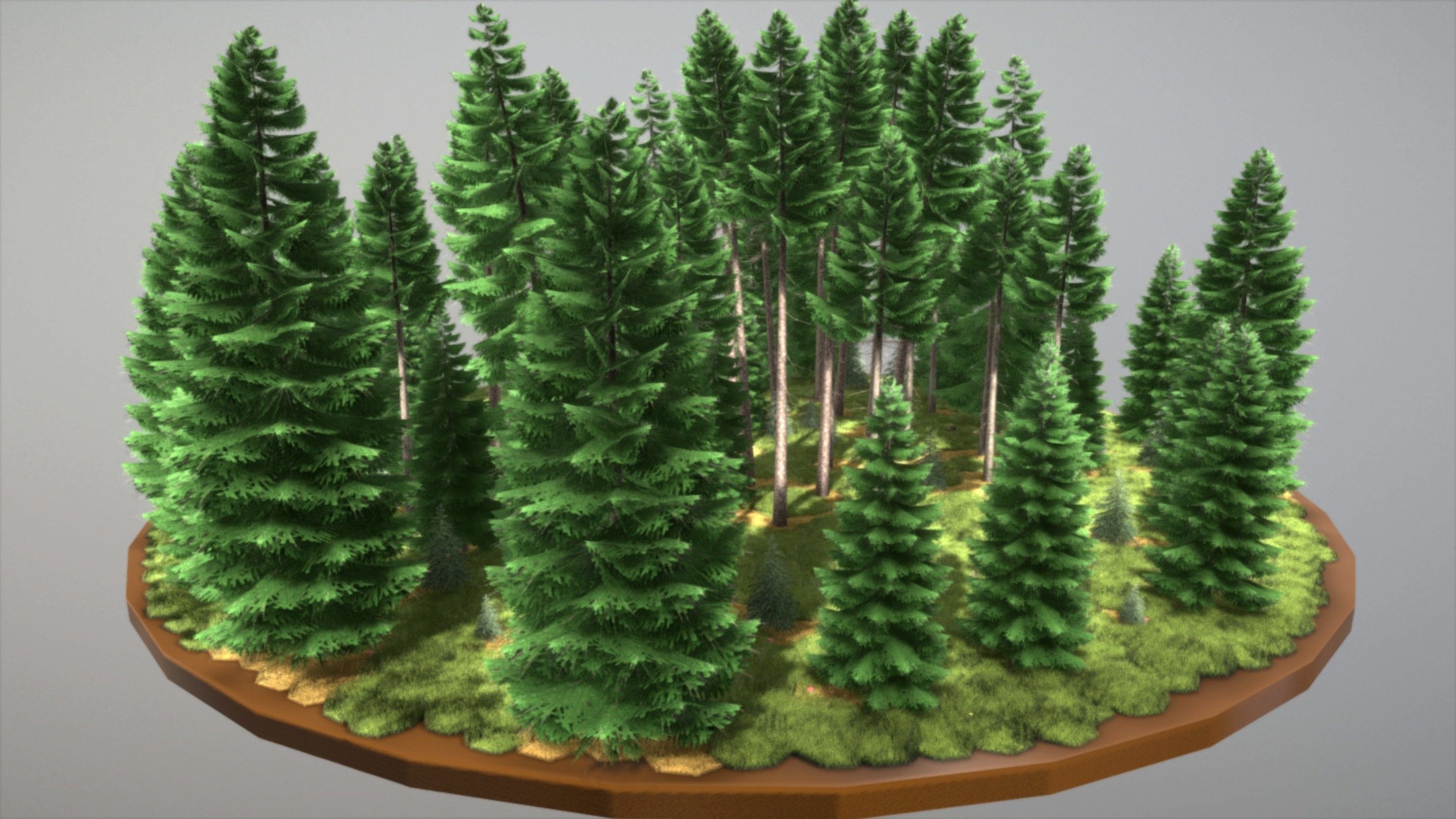 Spruce Forest Scene Low-poly 3D model_28