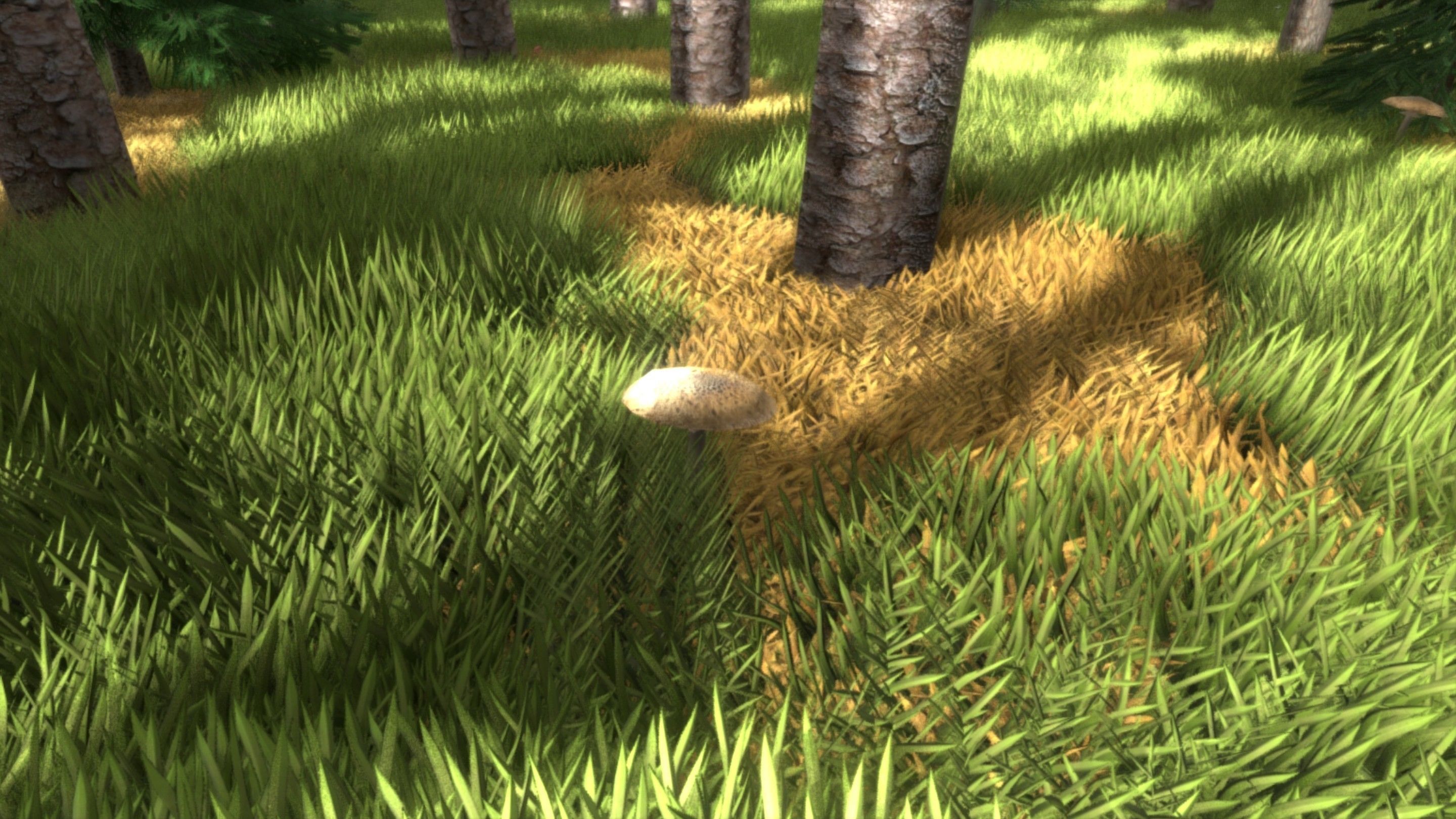 Spruce Forest Scene Low-poly 3D model_59