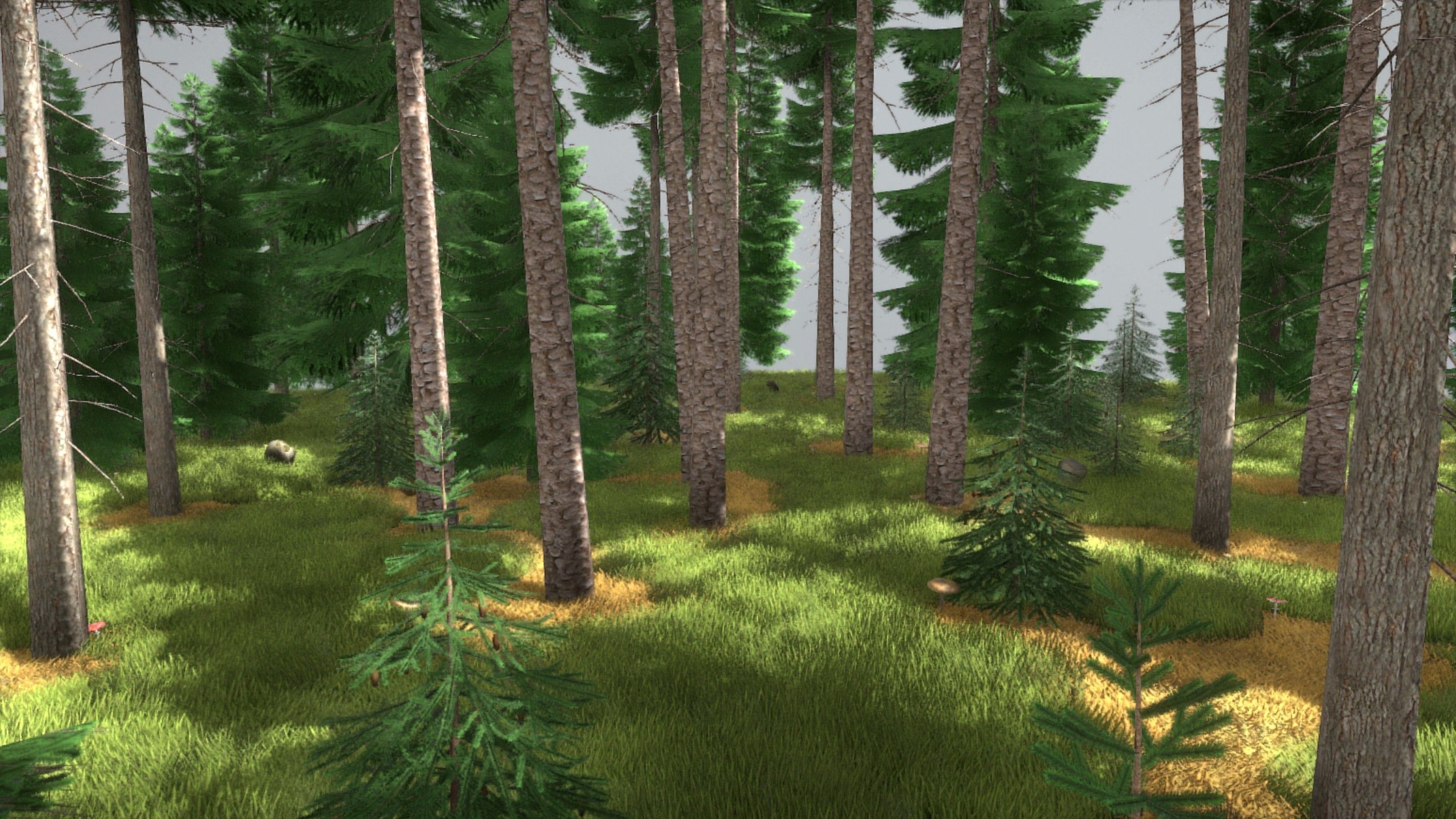 Spruce Forest Scene Low-poly 3D model_23