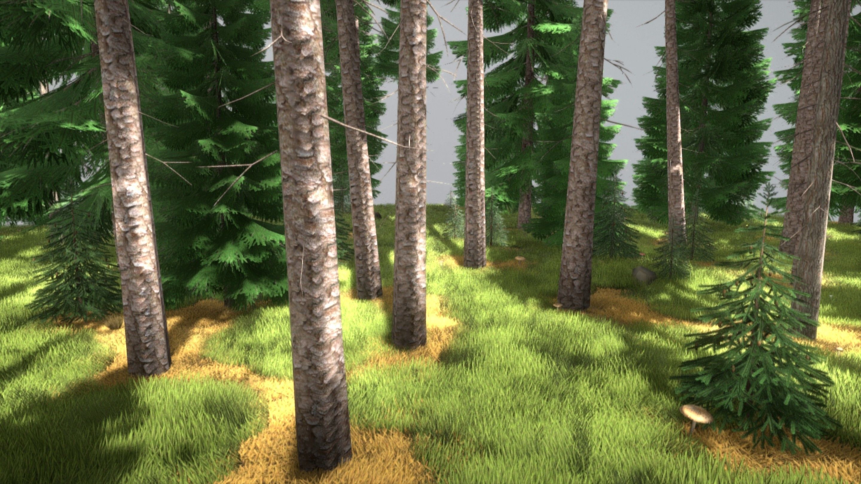 Spruce Forest Scene Low-poly 3D model_16