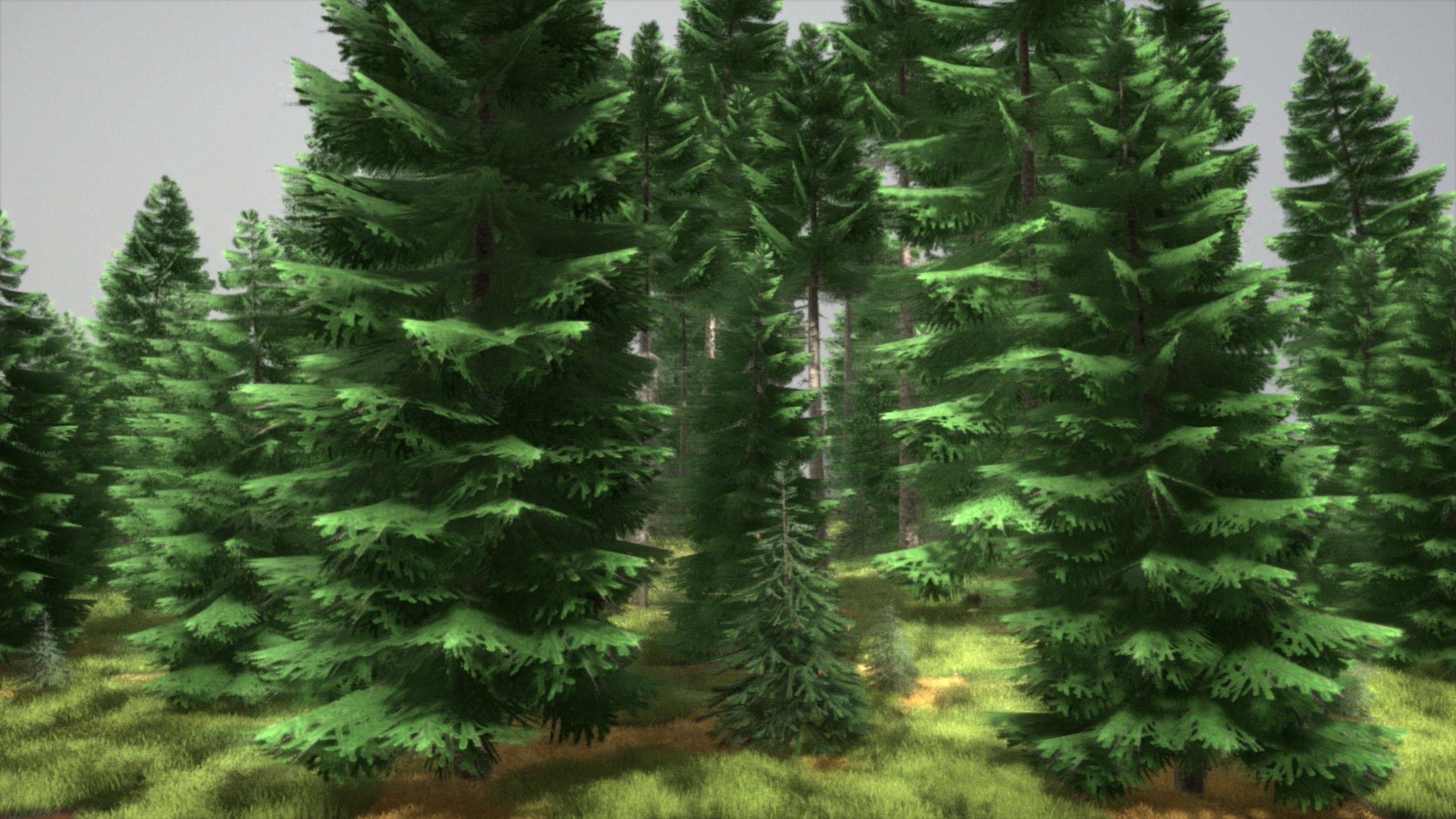Spruce Forest Scene Low-poly 3D model_38