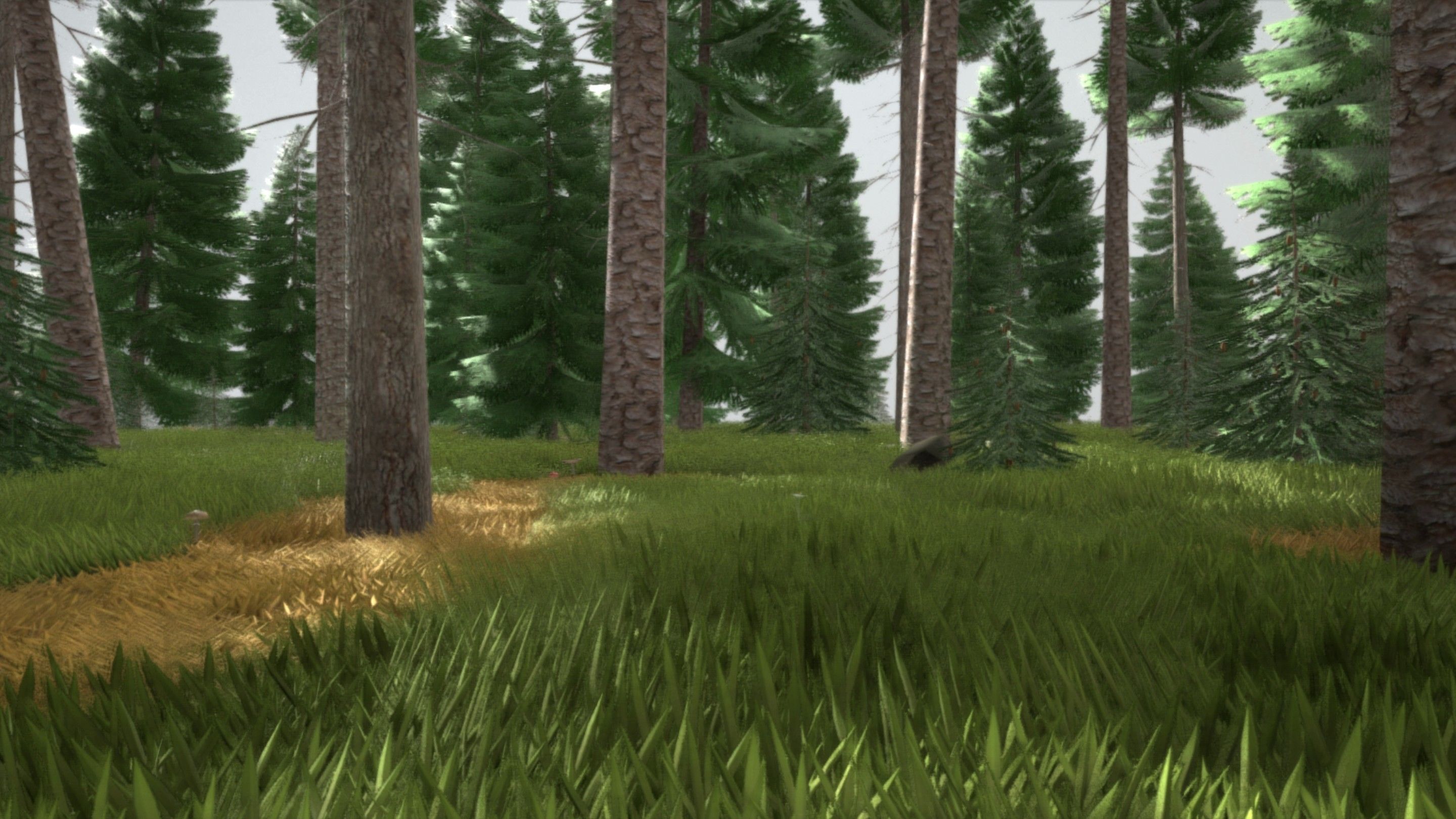 Spruce Forest Scene Low-poly 3D model_87