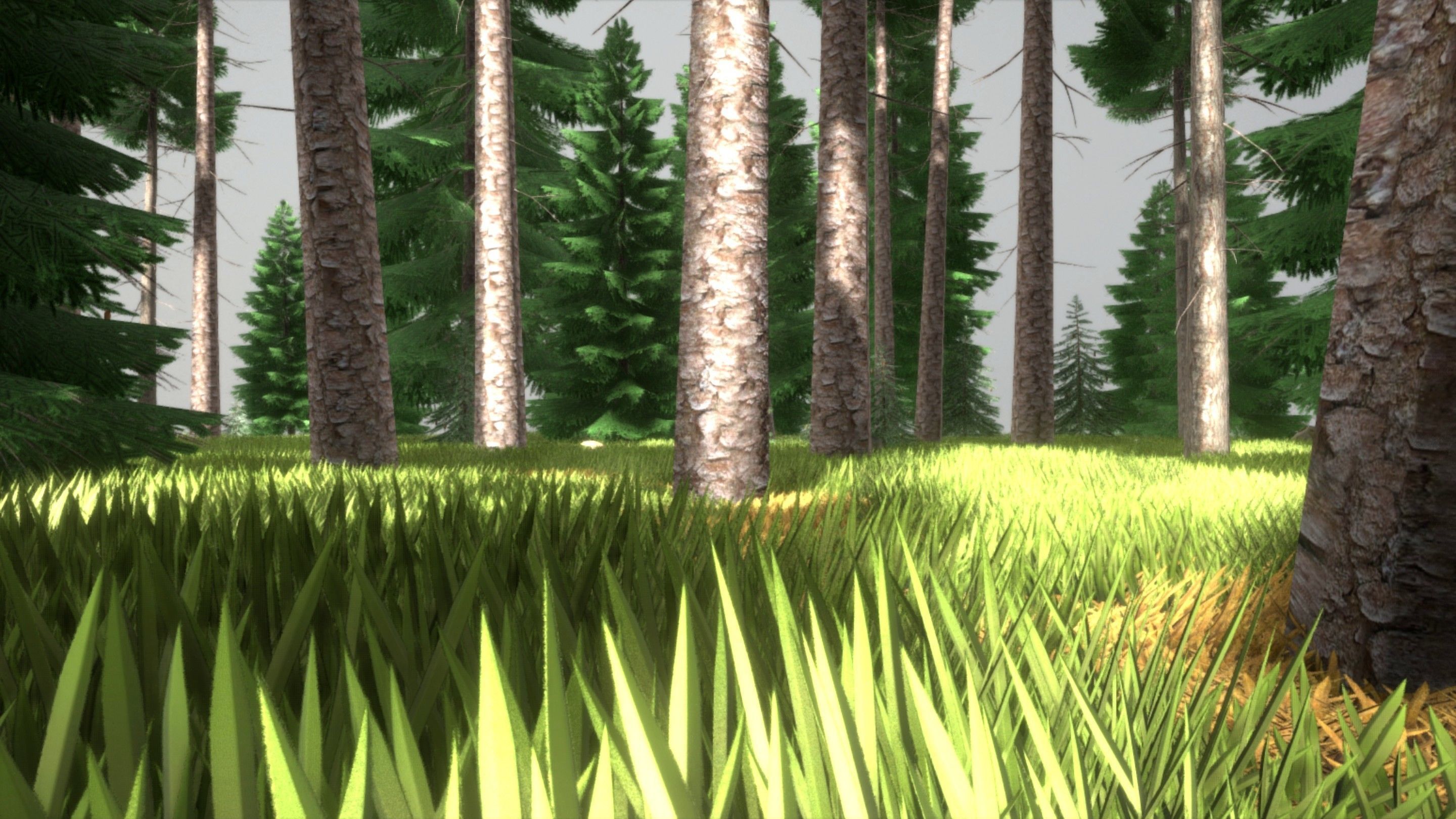 Spruce Forest Scene Low-poly 3D model_21