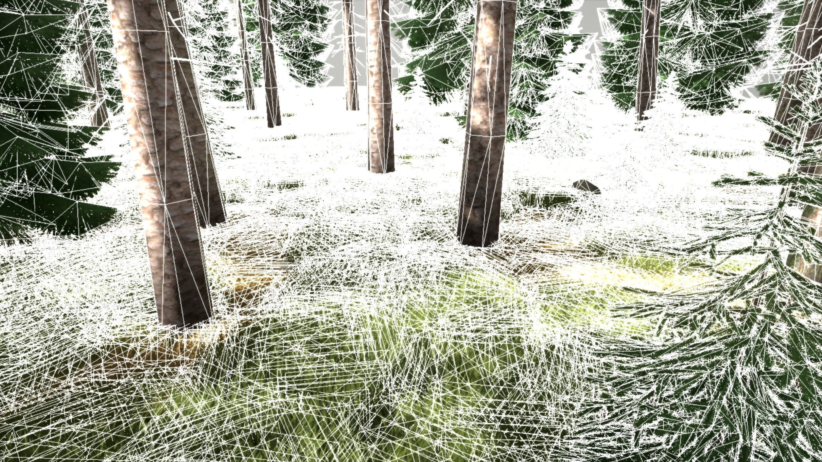 Spruce Forest Scene Low-poly 3D model_24