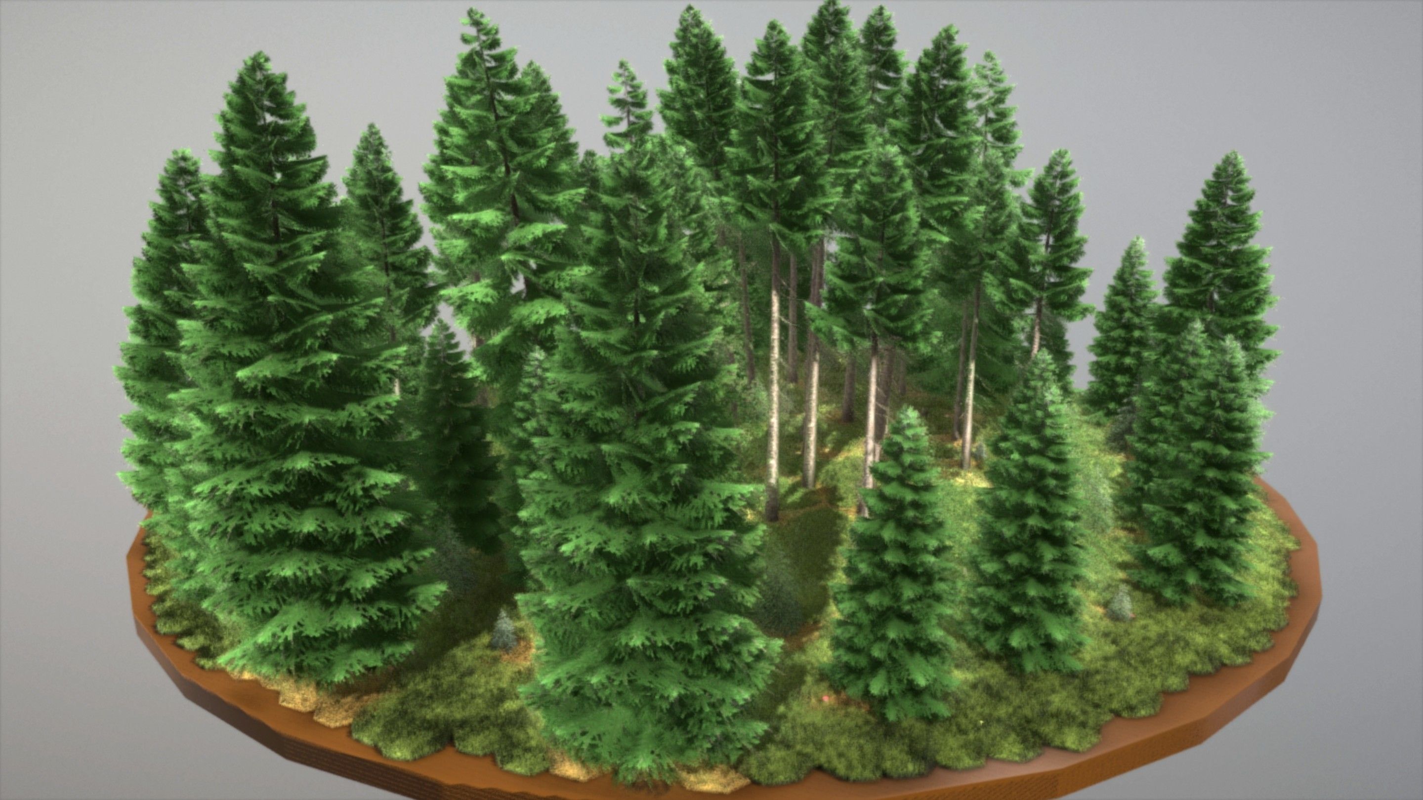 Spruce Forest Scene Low-poly 3D model_62