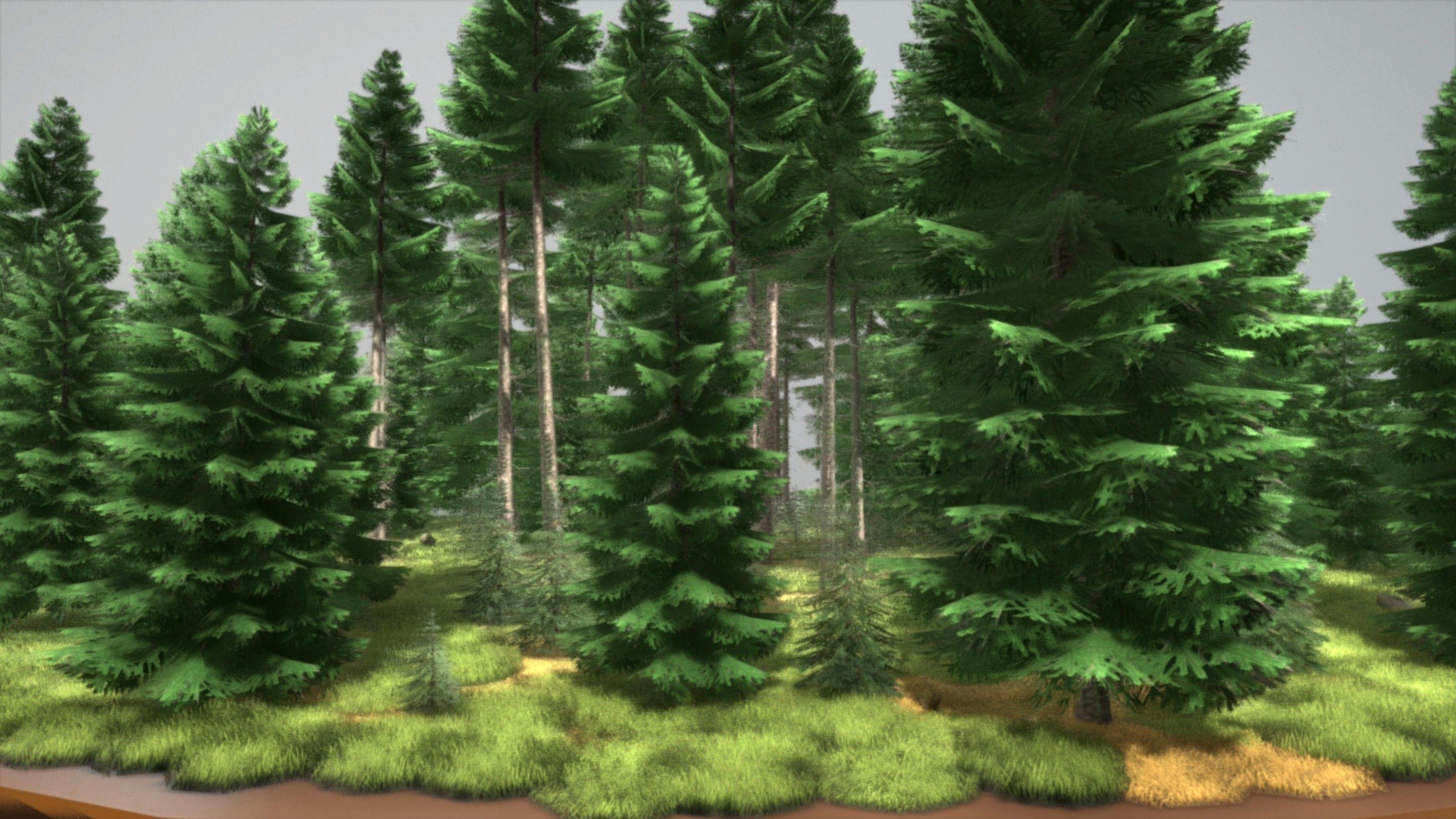 Spruce Forest Scene Low-poly 3D model_40