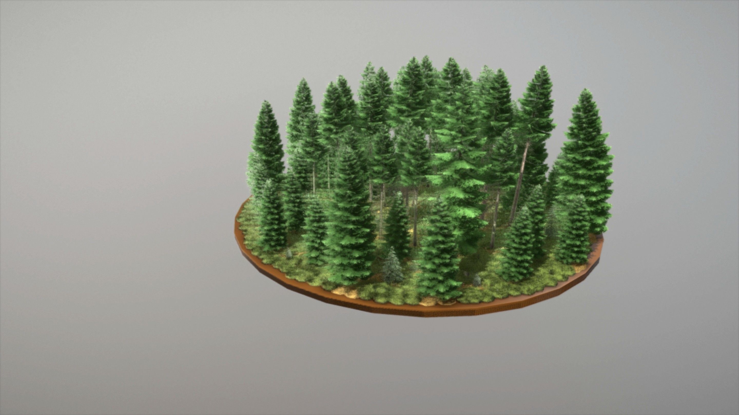 Spruce Forest Scene Low-poly 3D model_93