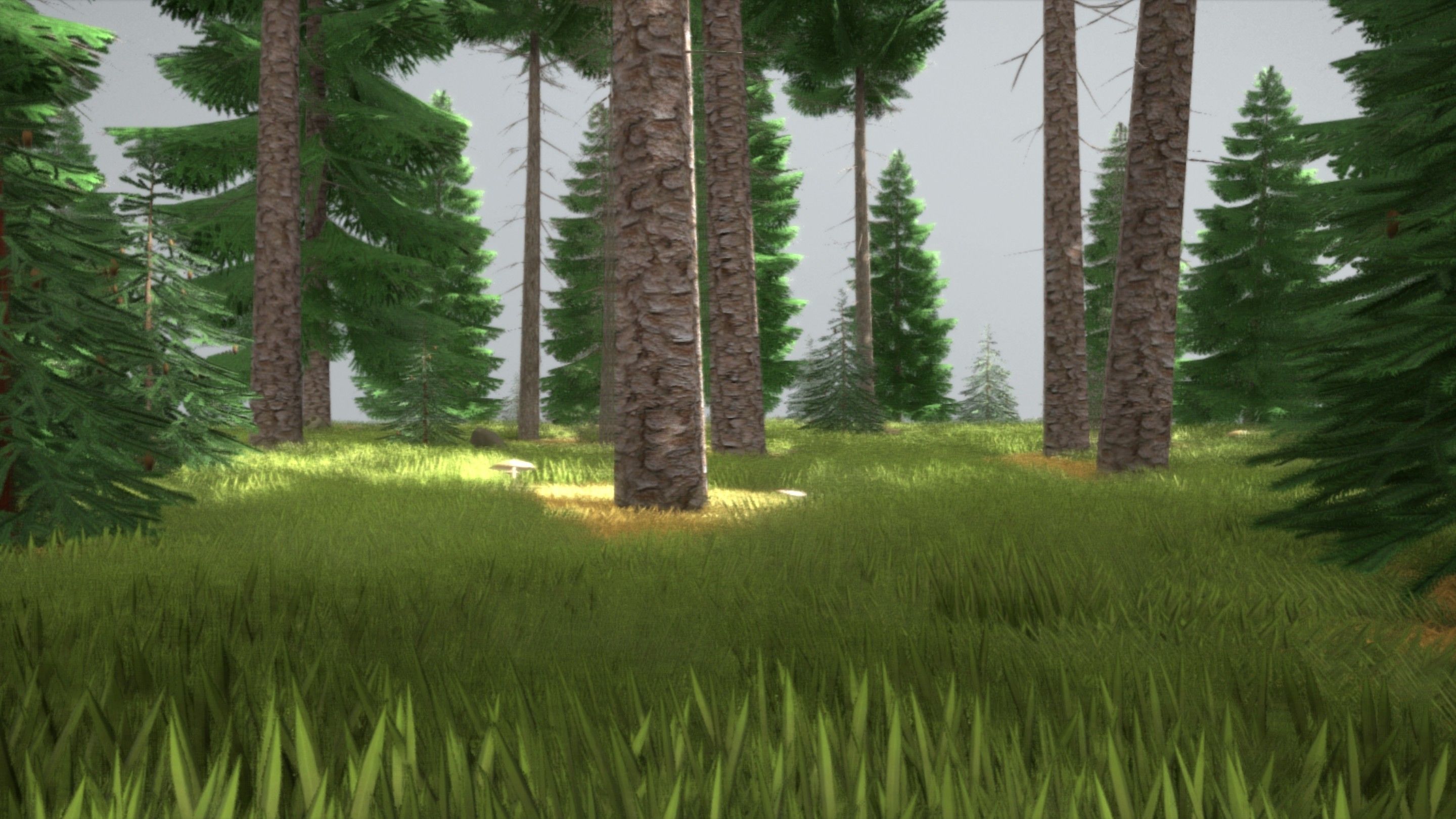 Spruce Forest Scene Low-poly 3D model_84