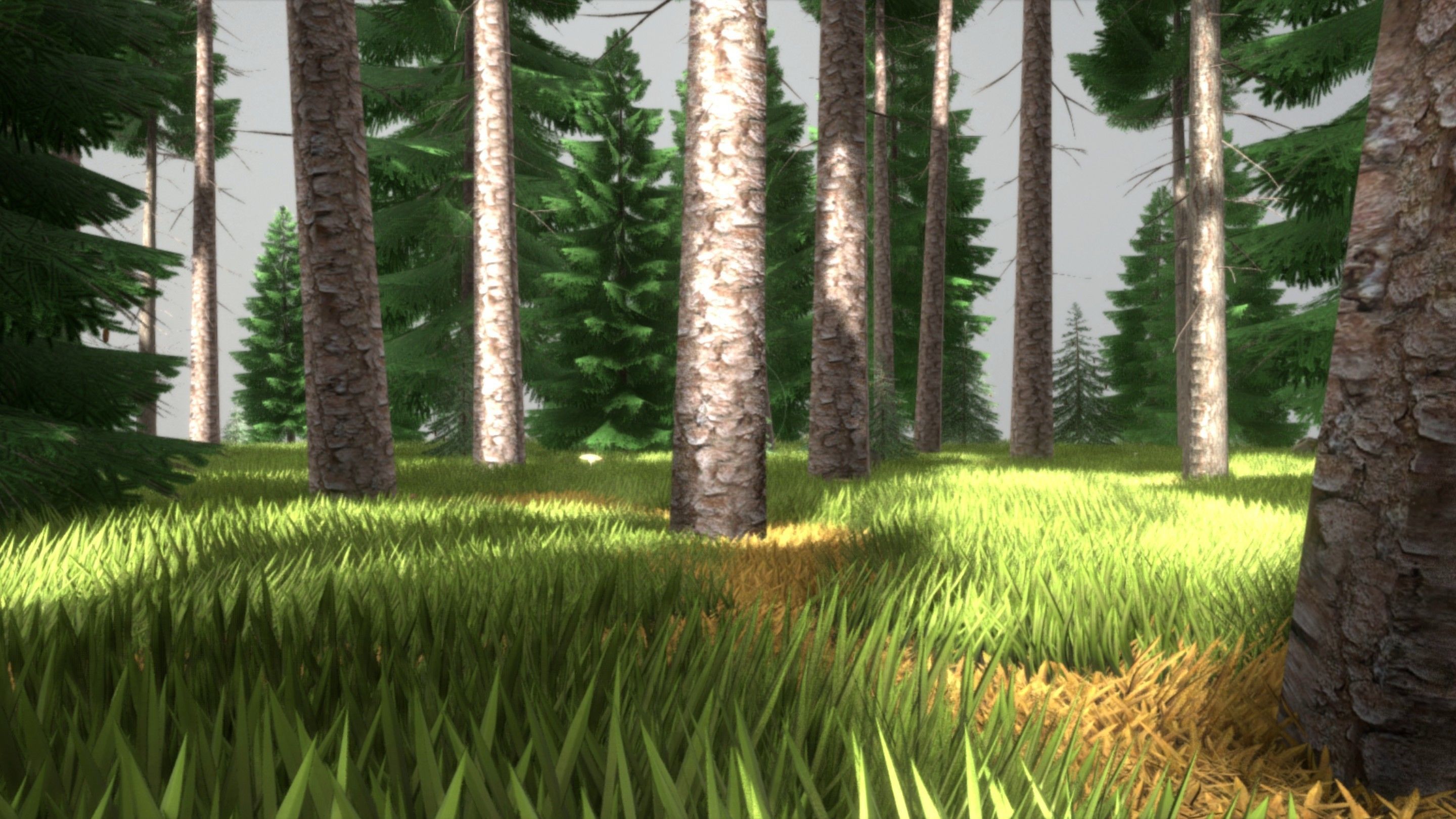 Spruce Forest Scene Low-poly 3D model_13
