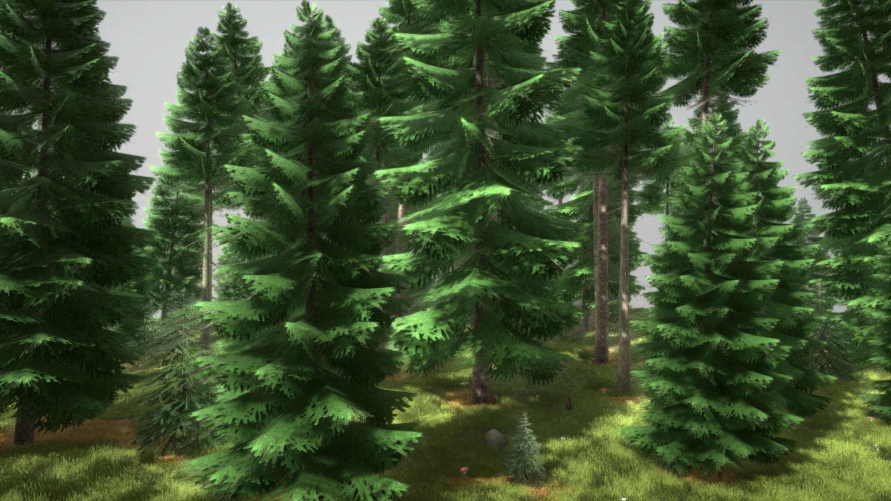 Spruce Forest Scene Low-poly 3D model_43