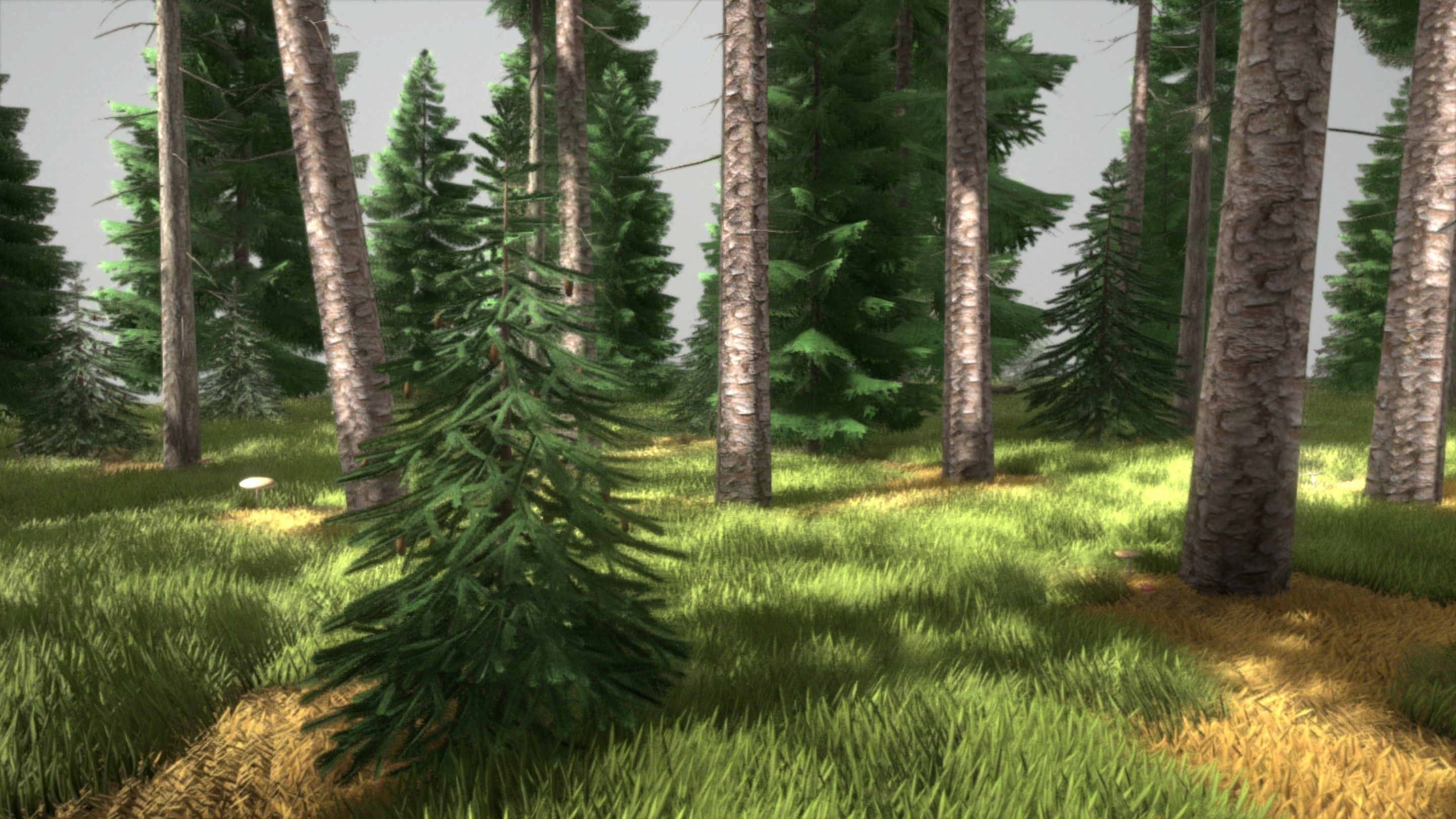 Spruce Forest Scene Low-poly 3D model_47