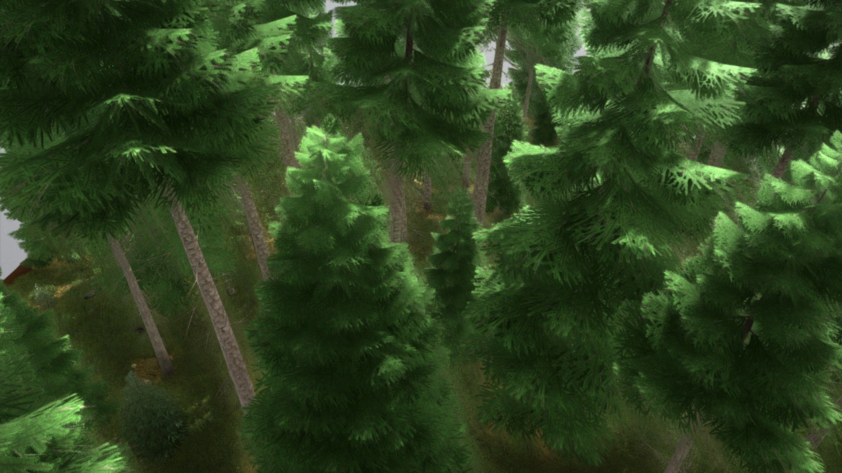 Spruce Forest Scene Low-poly 3D model_90