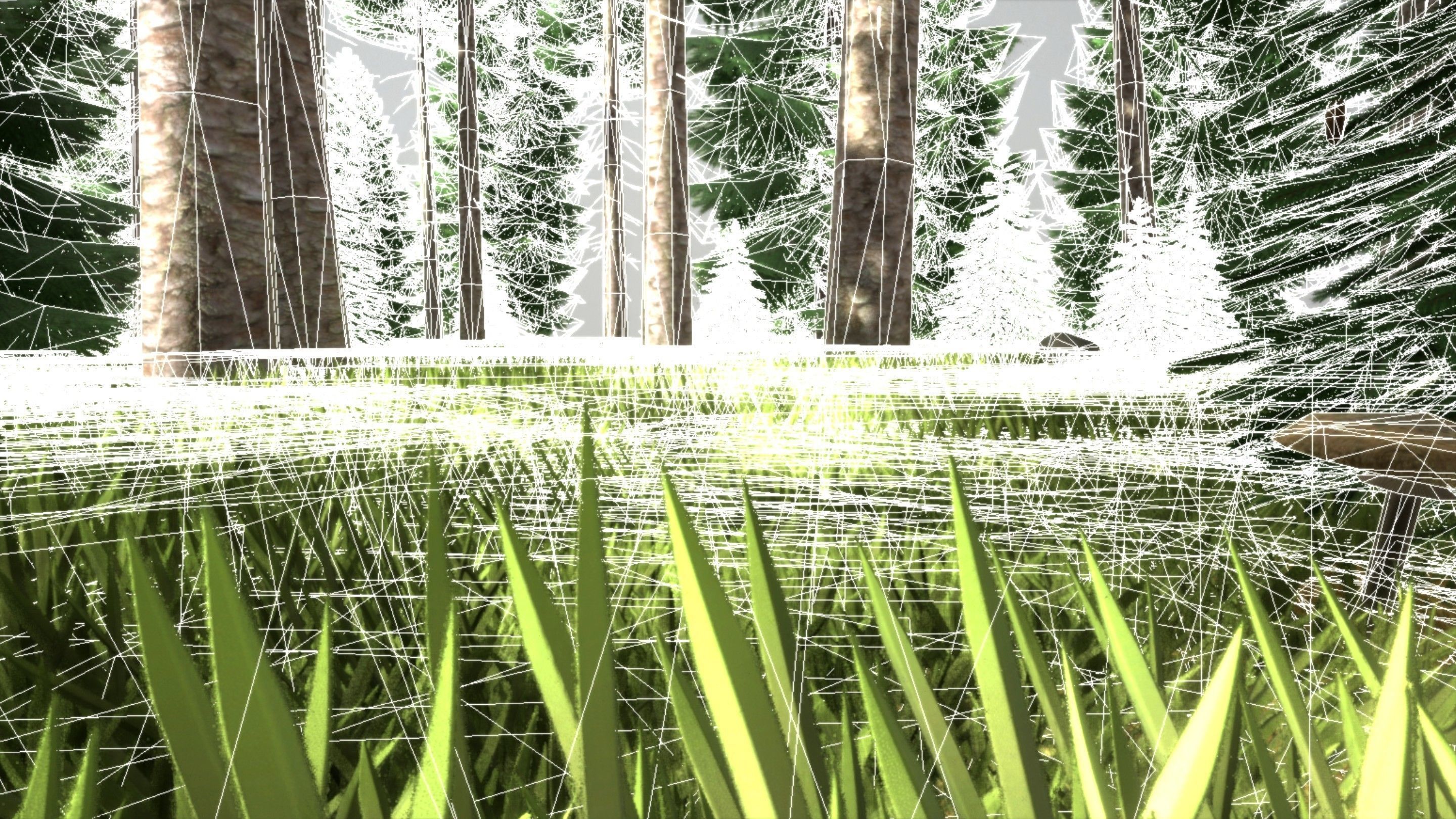 Spruce Forest Scene Low-poly 3D model_30