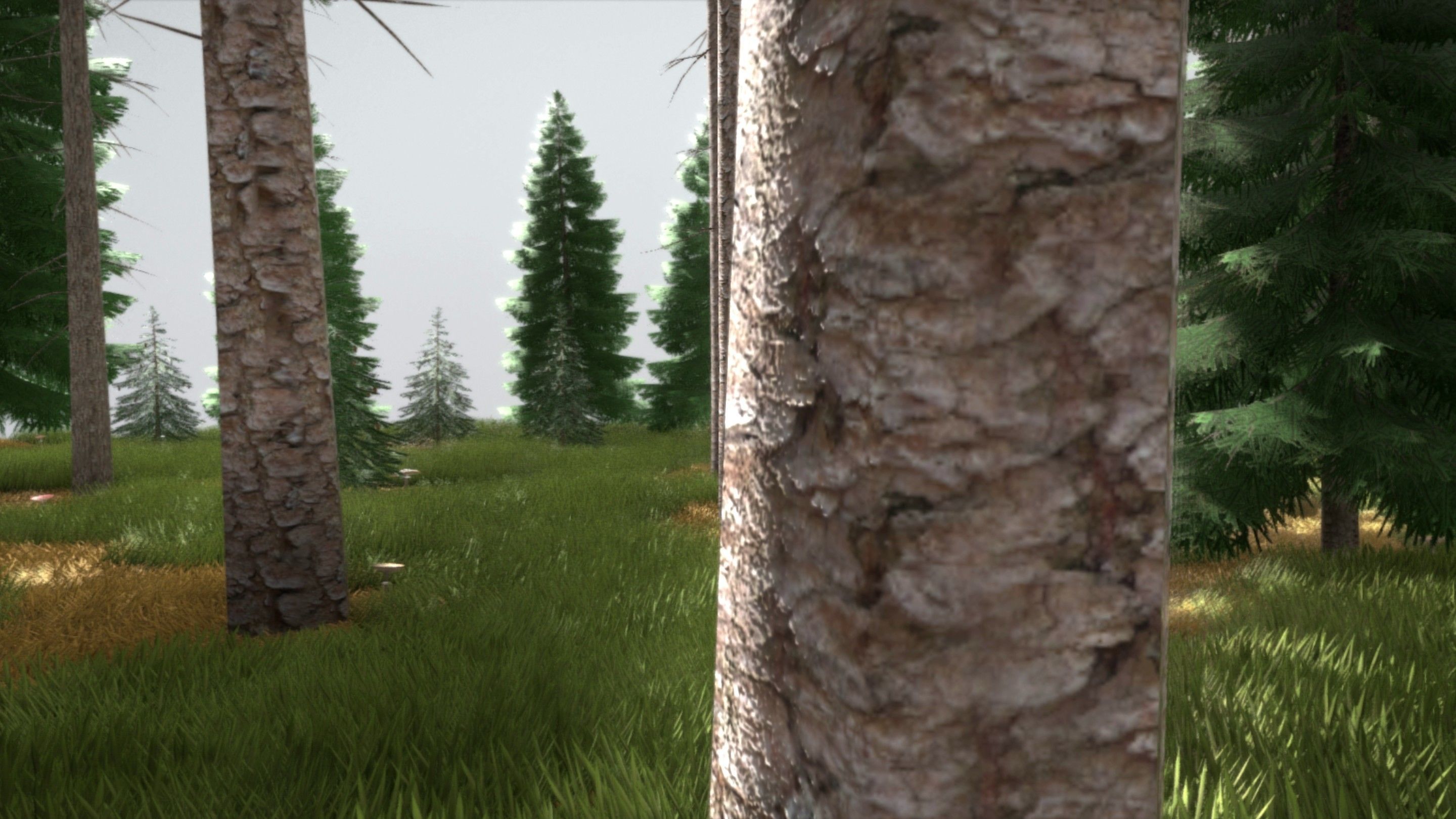 Spruce Forest Scene Low-poly 3D model_44