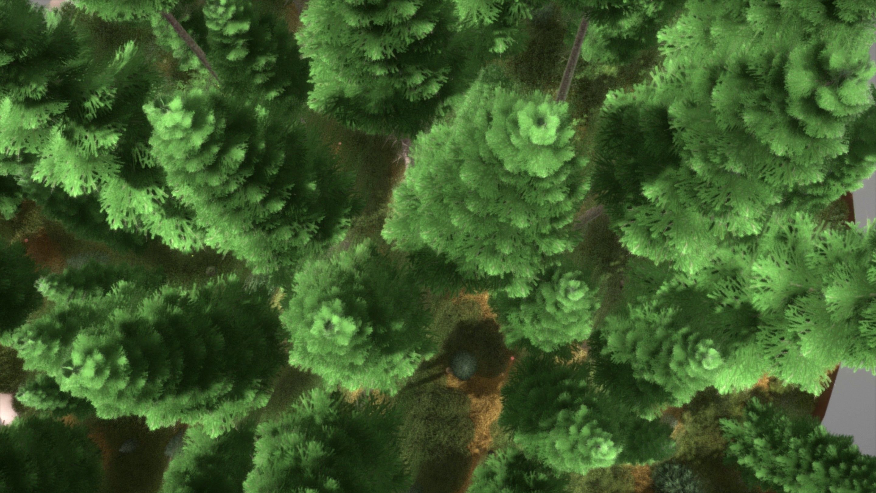 Spruce Forest Scene Low-poly 3D model_89