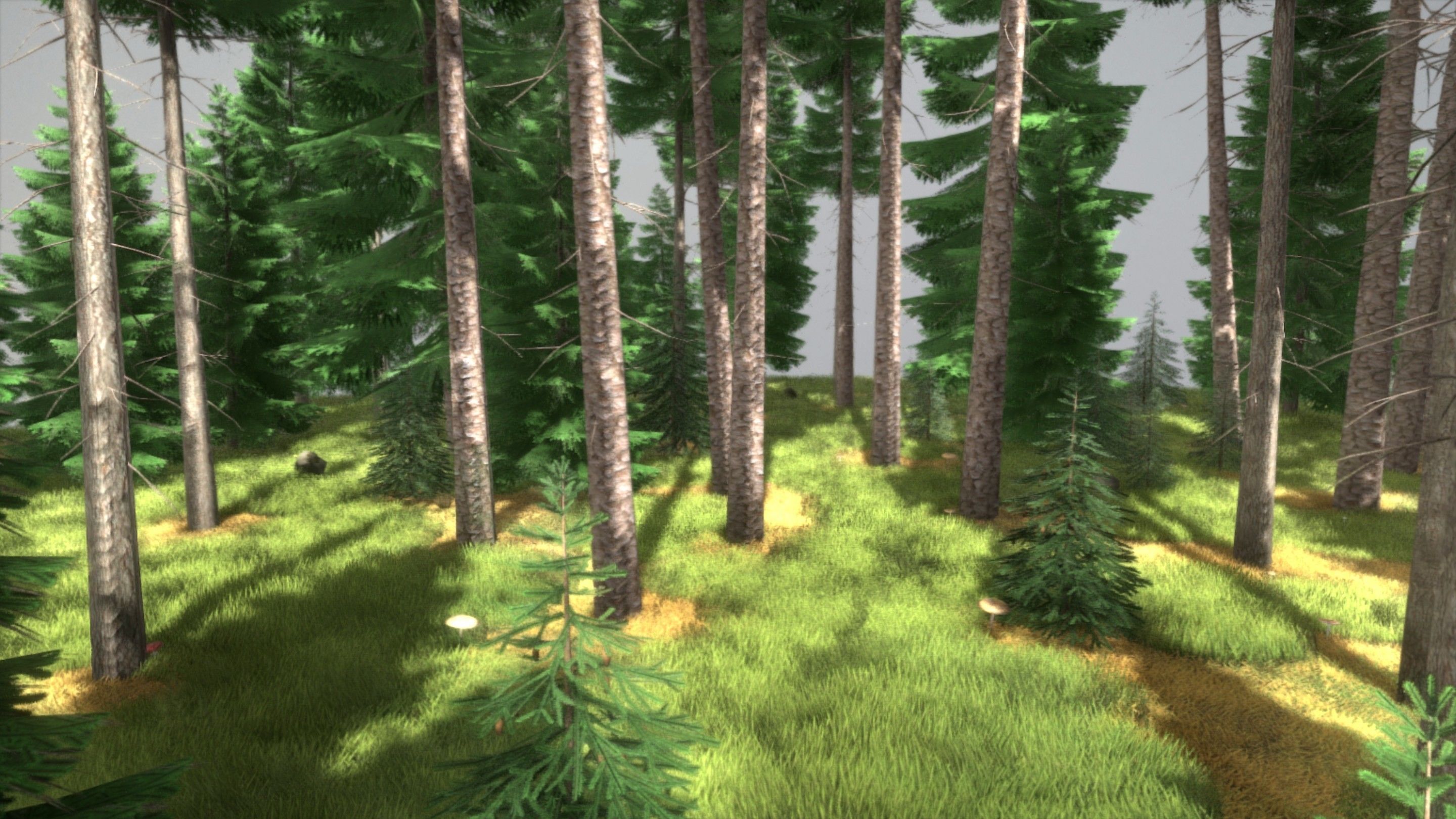 Spruce Forest Scene Low-poly 3D model_12