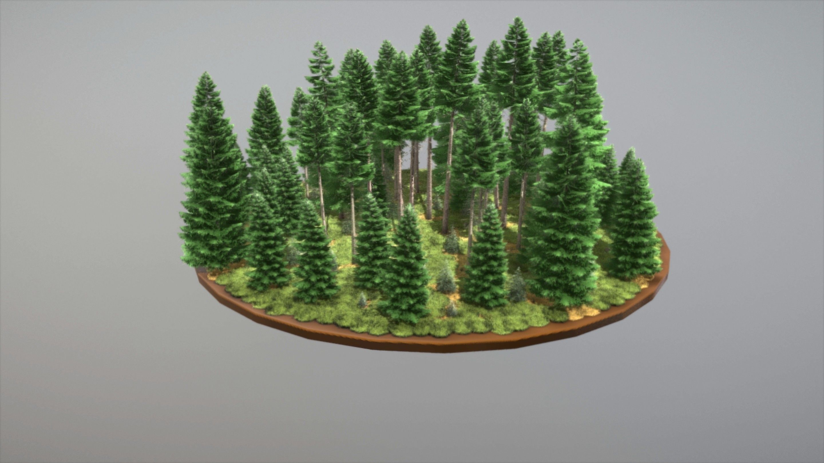 Spruce Forest Scene Low-poly 3D model_5