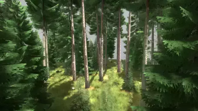 Spruce Forest Scene Low-poly 3D model