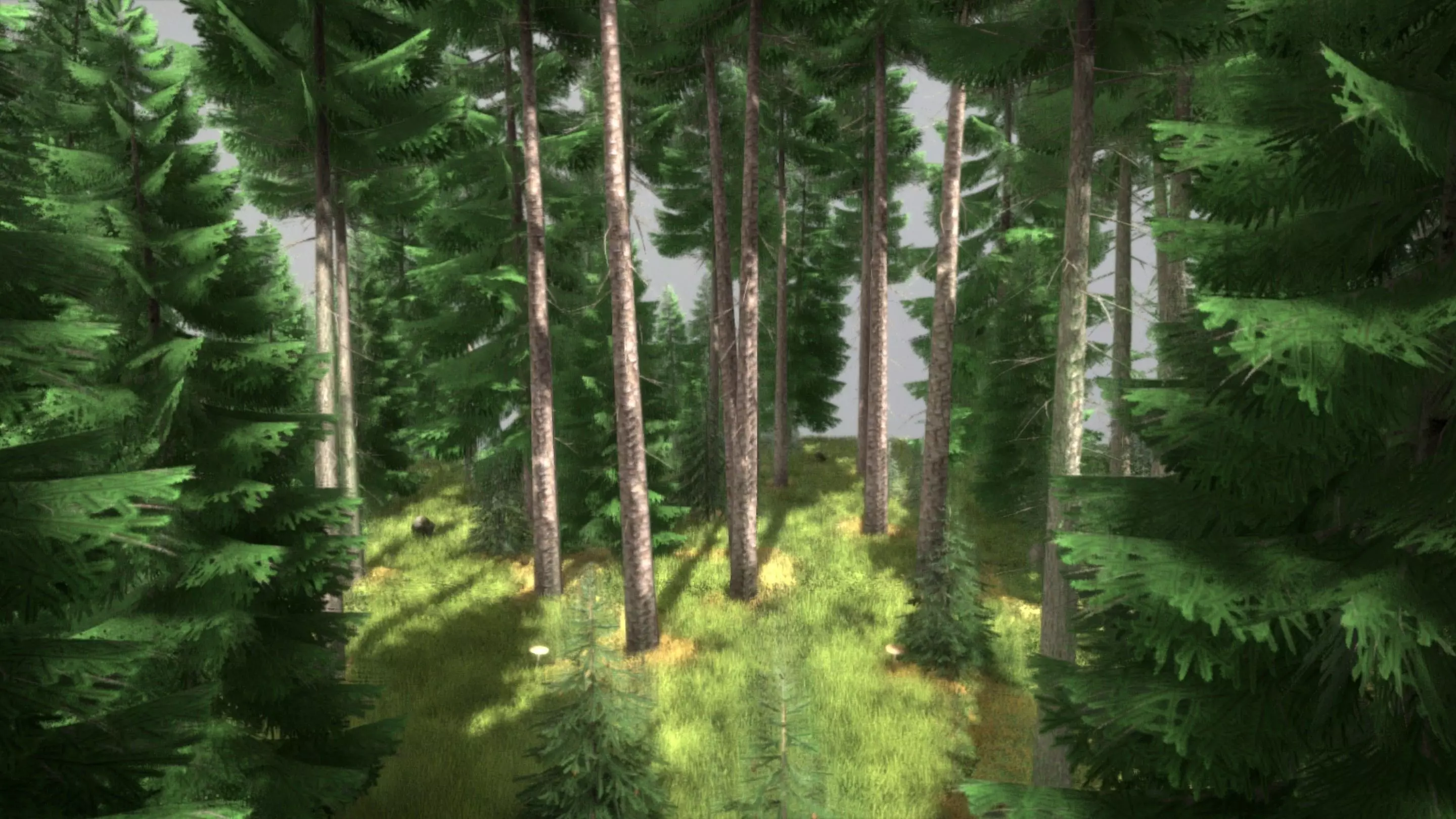 Spruce Forest Scene Low-poly 3D model_0