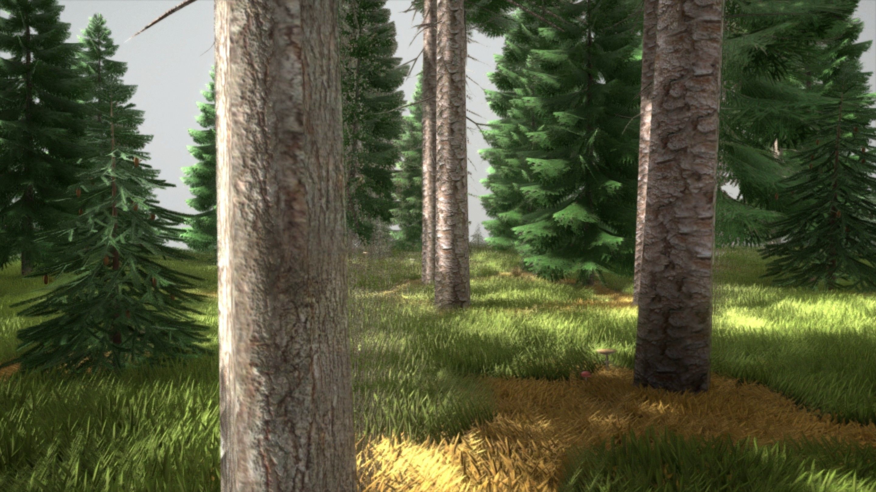 Spruce Forest Scene Low-poly 3D model_31