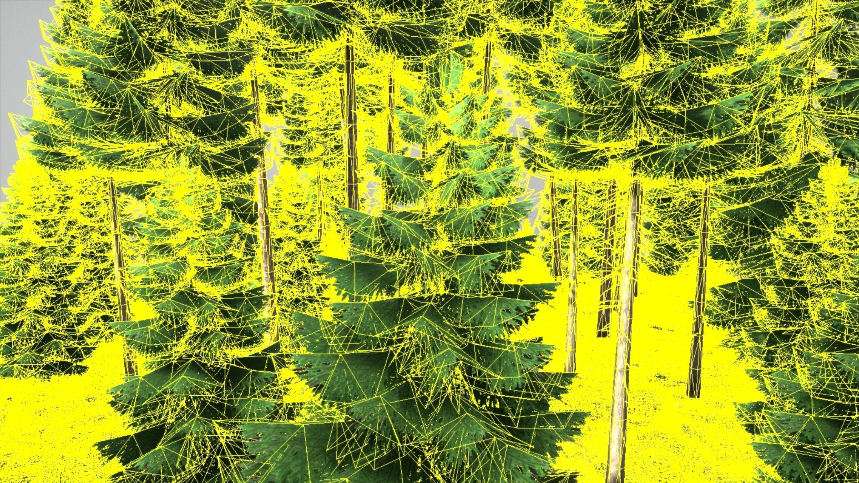 Spruce Forest Scene Low-poly 3D model_85