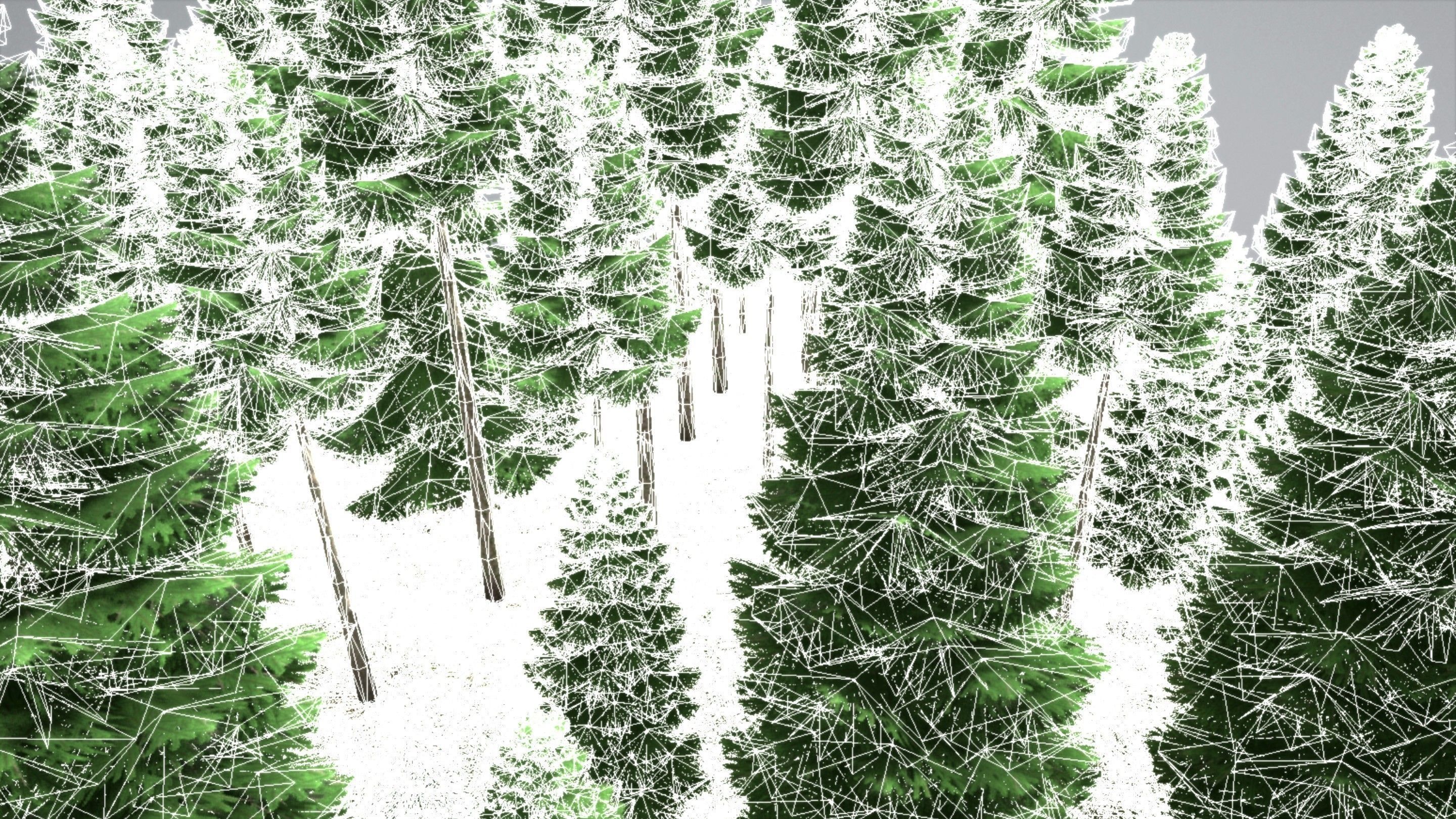 Spruce Forest Scene Low-poly 3D model_80
