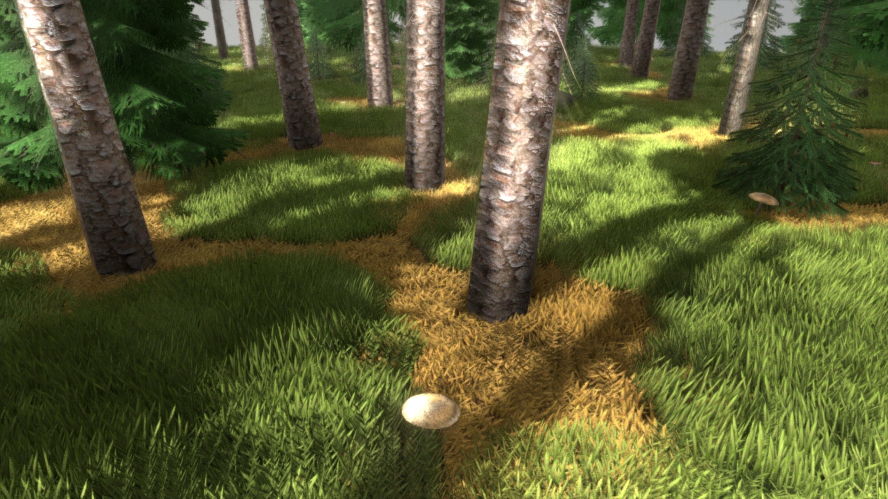 Spruce Forest Scene Low-poly 3D model_27