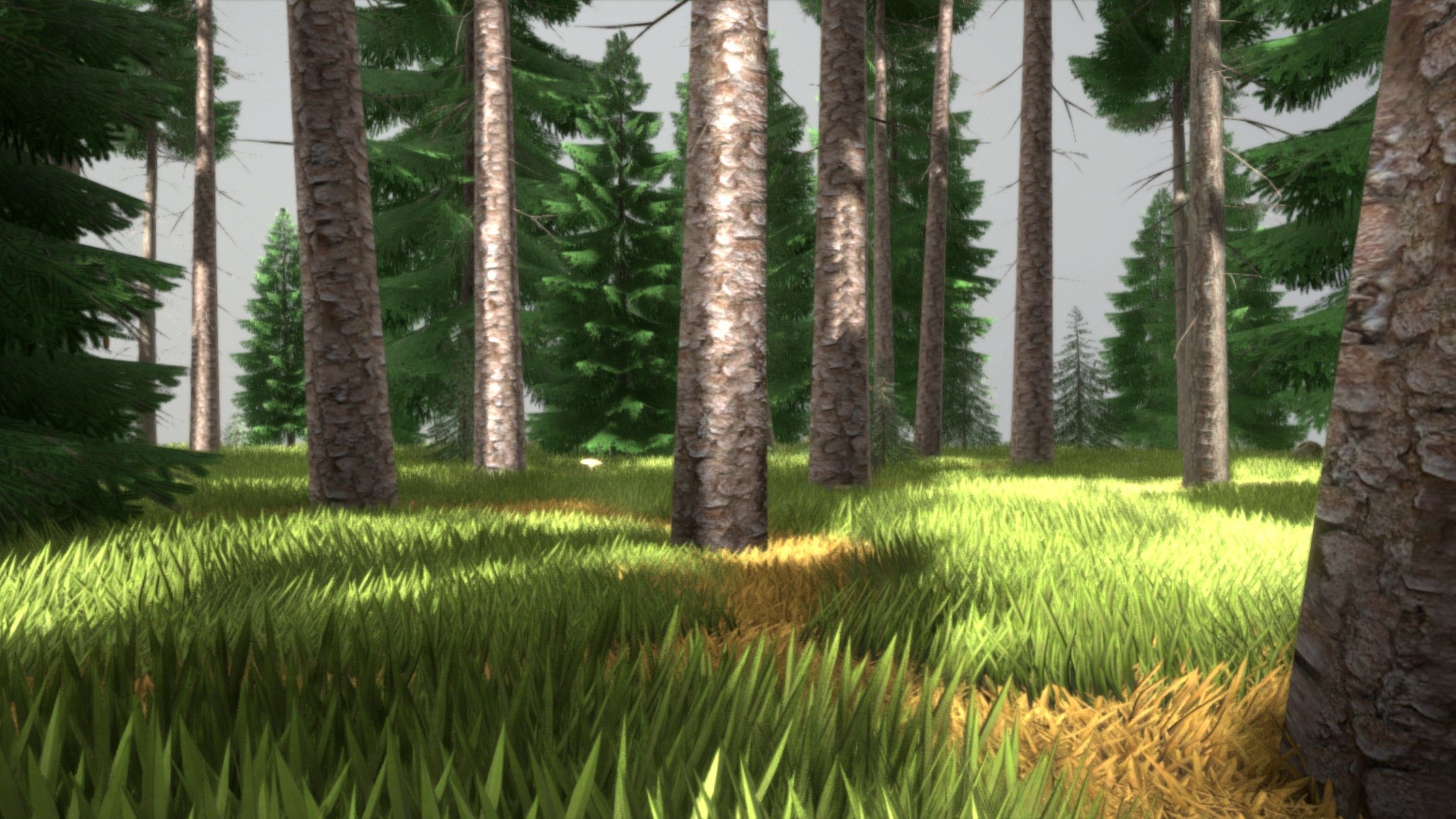 Spruce Forest Scene Low-poly 3D model_20
