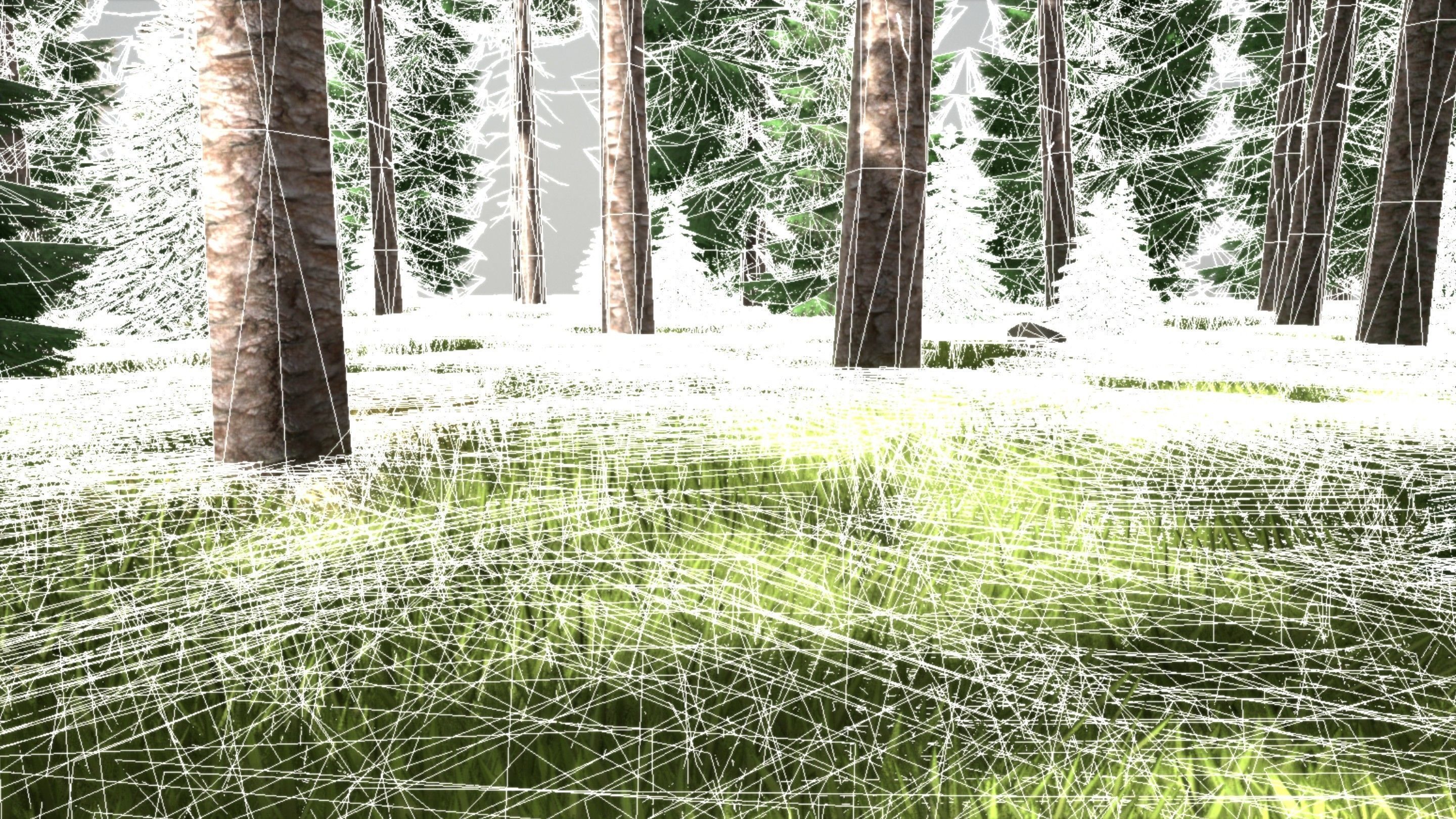 Spruce Forest Scene Low-poly 3D model_32