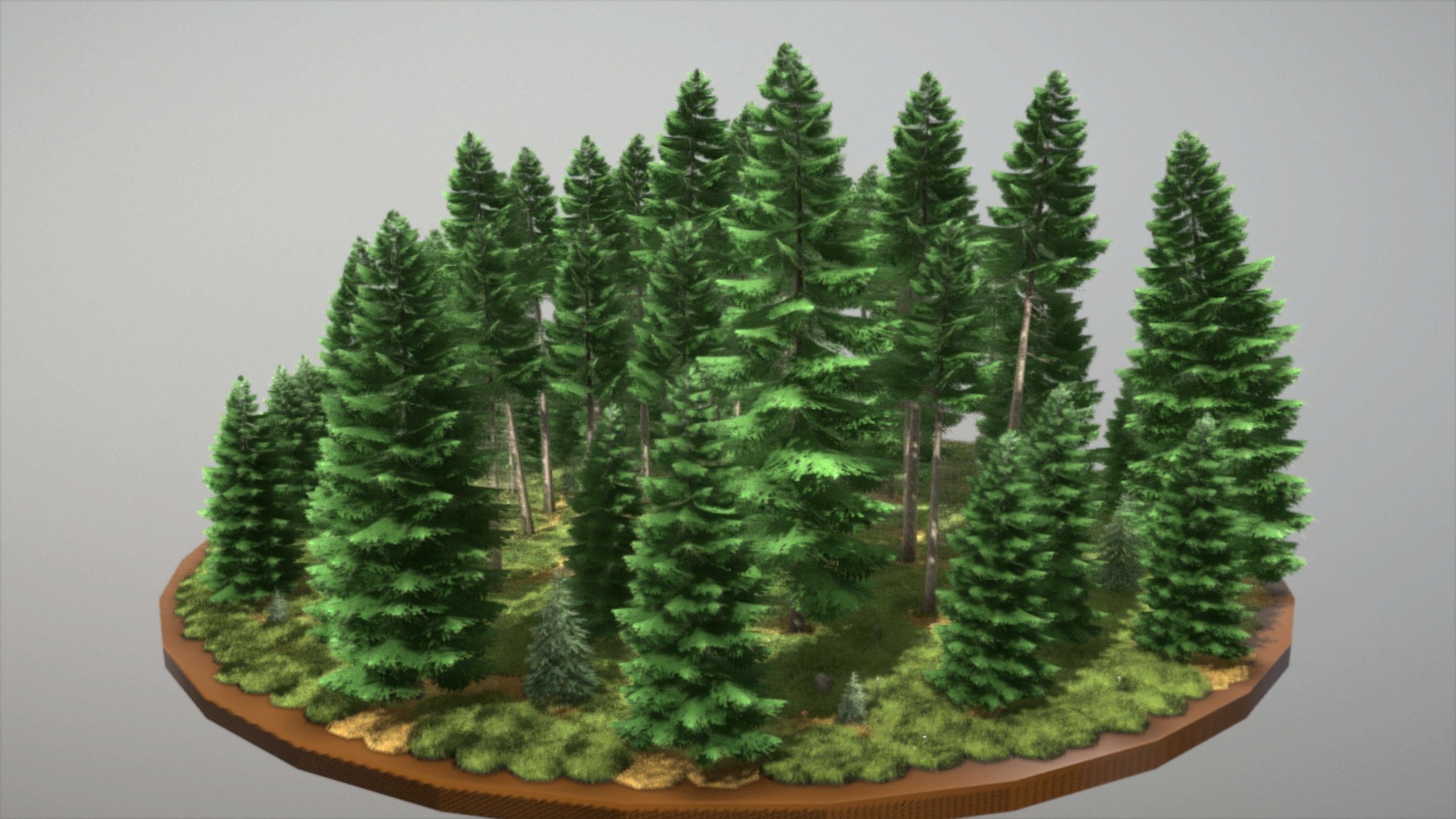 Spruce Forest Scene Low-poly 3D model_36