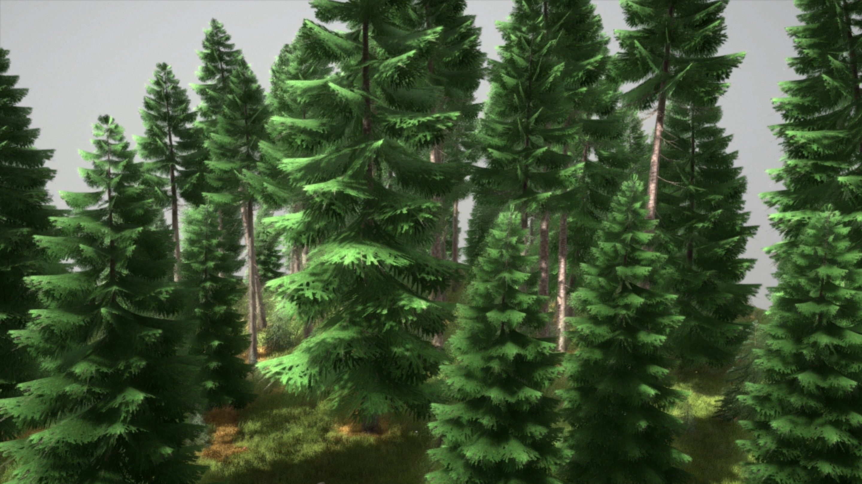 Spruce Forest Scene Low-poly 3D model_37