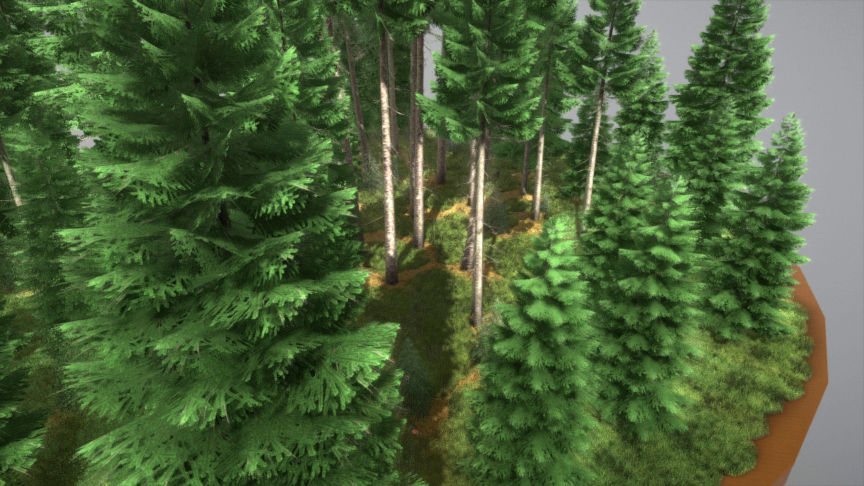 Spruce Forest Scene Low-poly 3D model_17