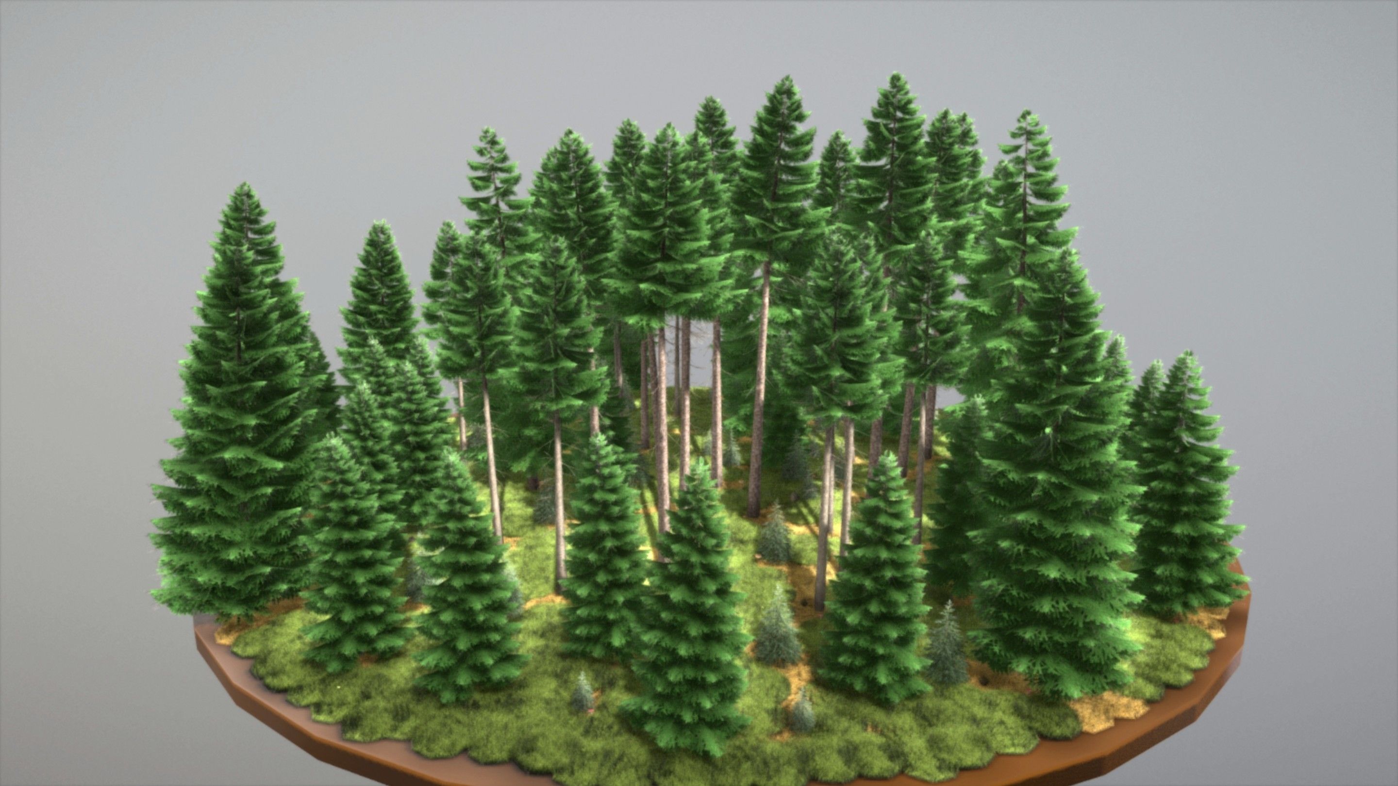 Spruce Forest Scene Low-poly 3D model_1