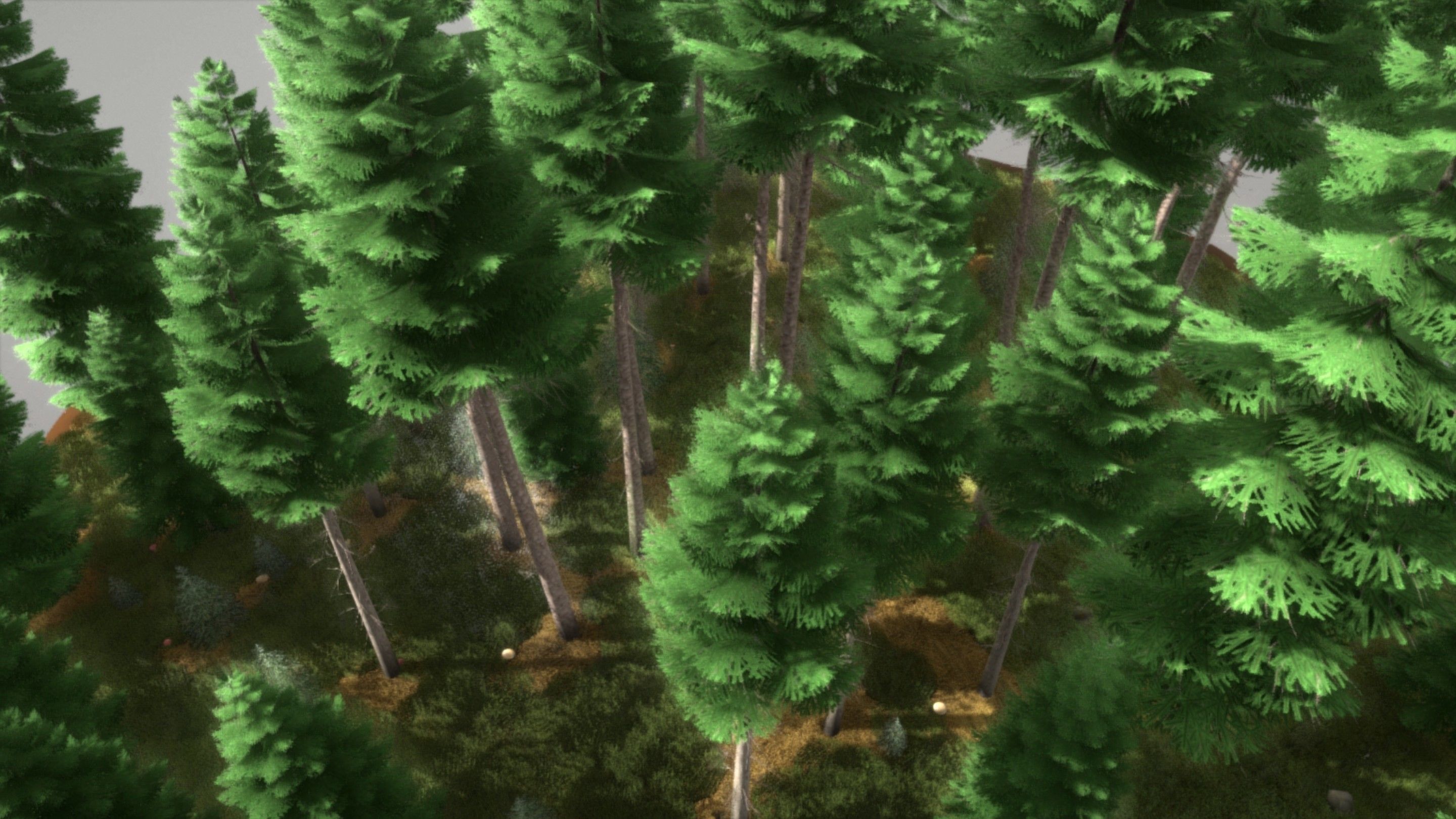 Spruce Forest Scene Low-poly 3D model_97