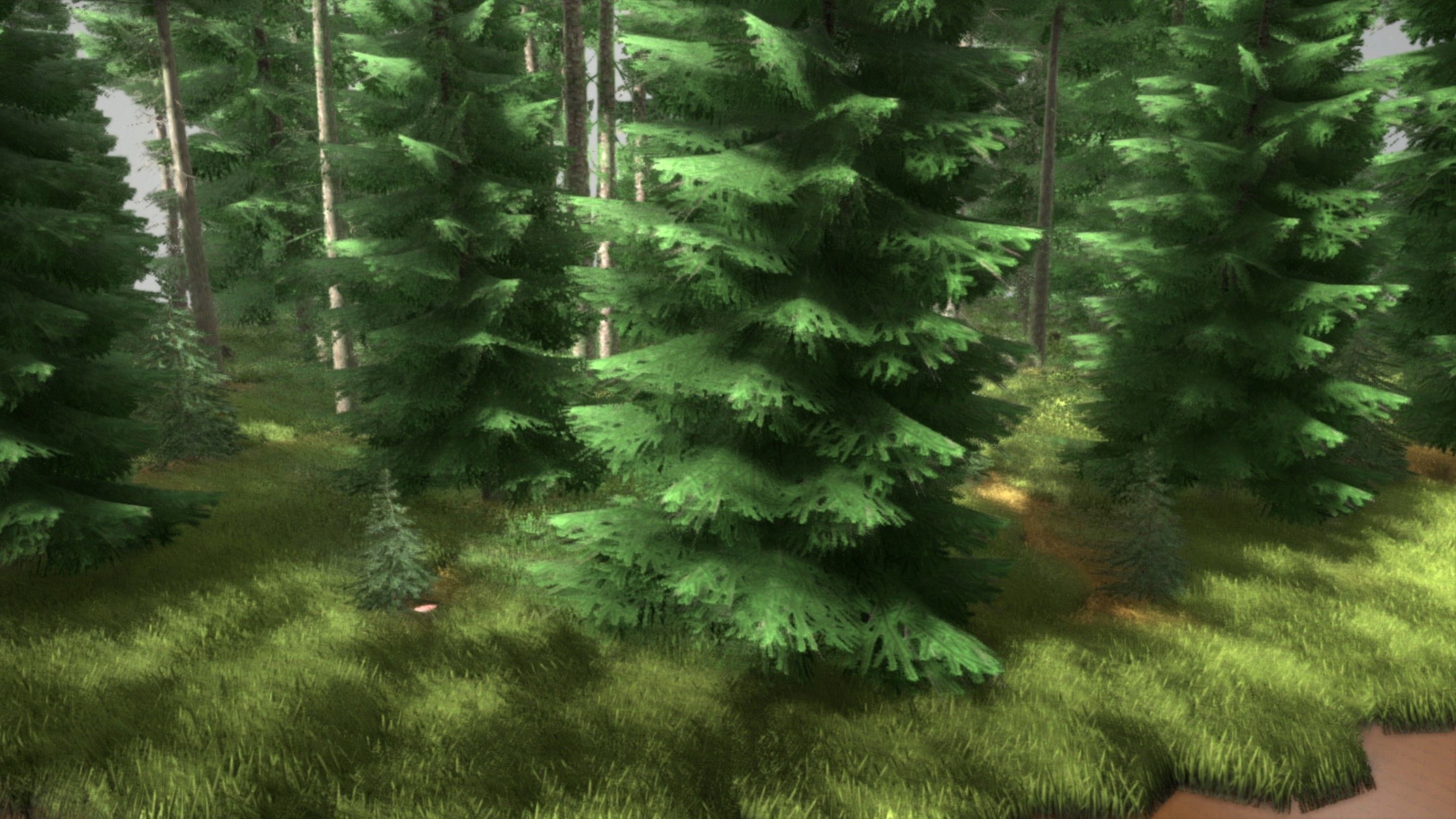 Spruce Forest Scene Low-poly 3D model_63