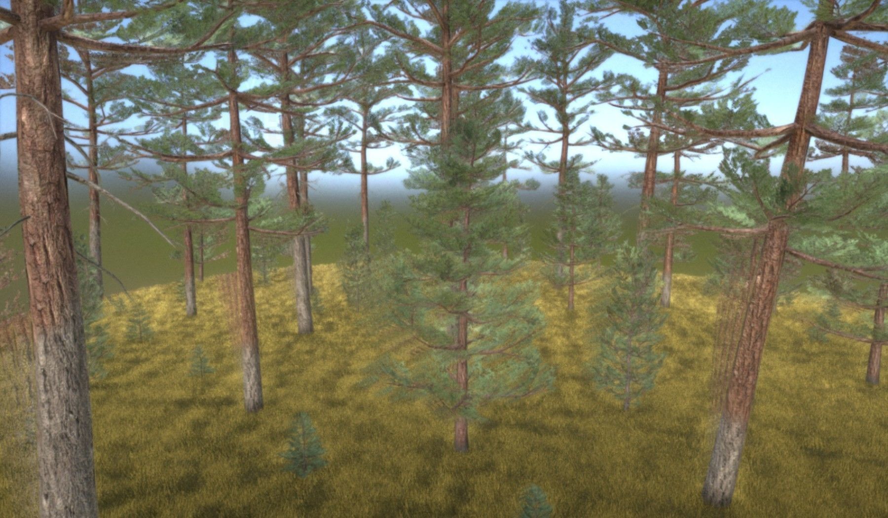 Pine Forest Scene Low-poly 3D model_37