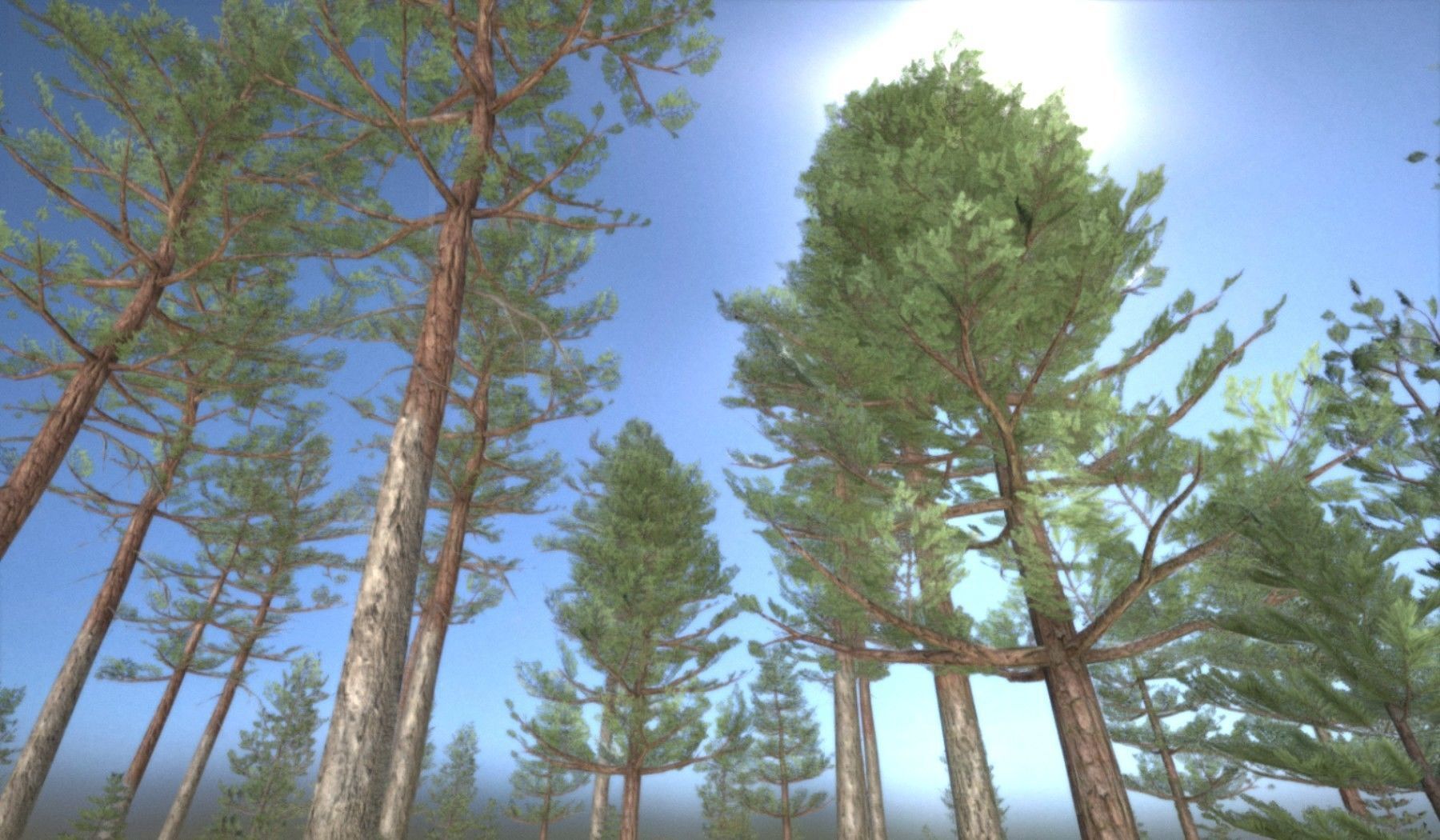 Pine Forest Scene Low-poly 3D model_99