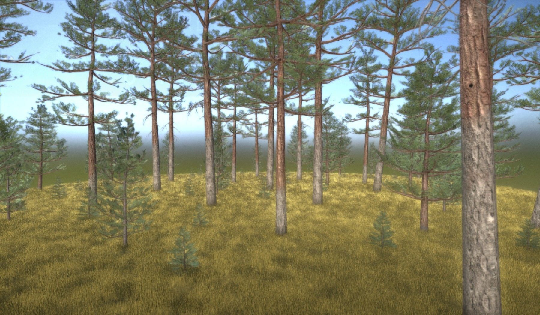 Pine Forest Scene Low-poly 3D model_39