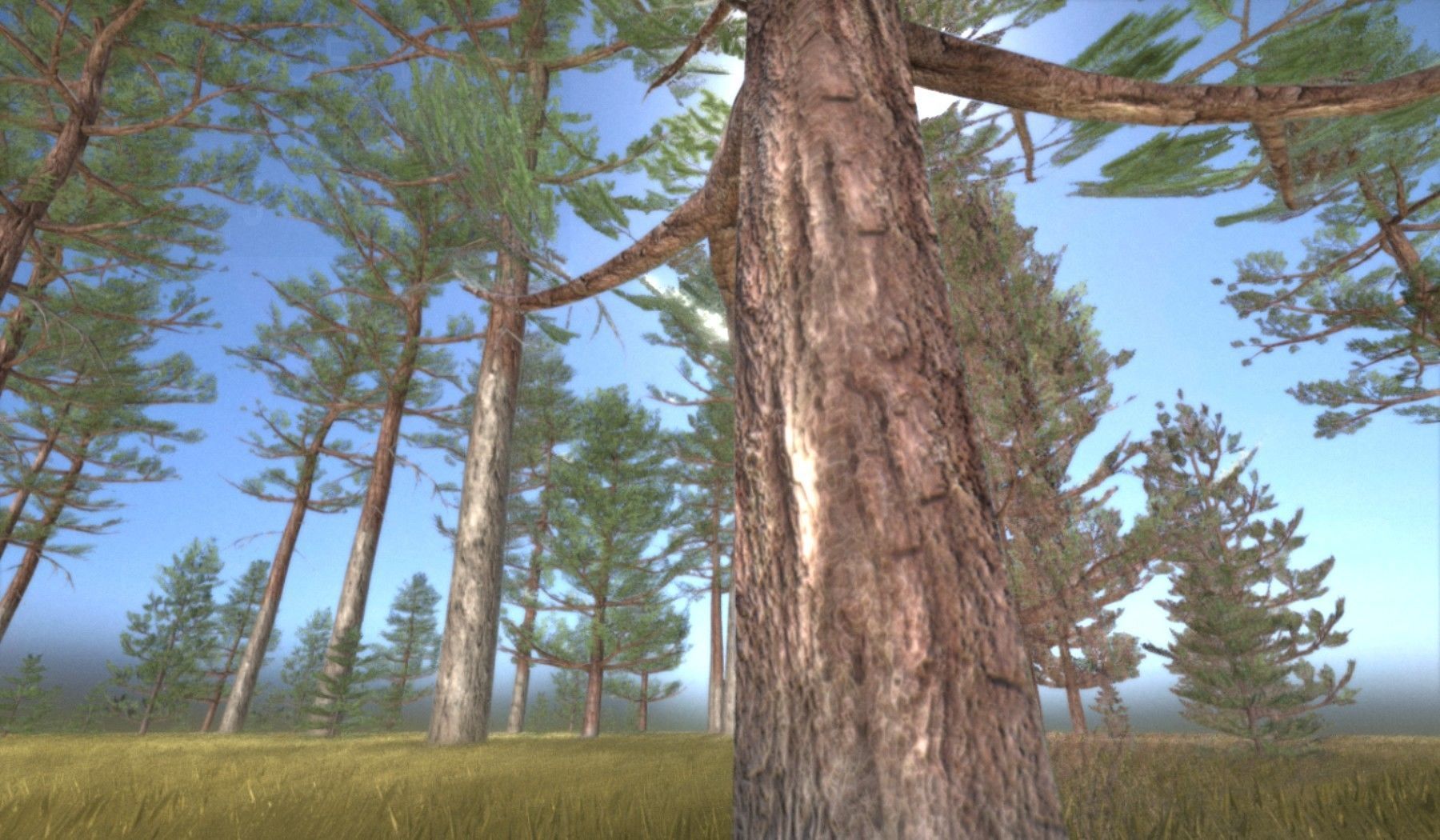 Pine Forest Scene Low-poly 3D model_102