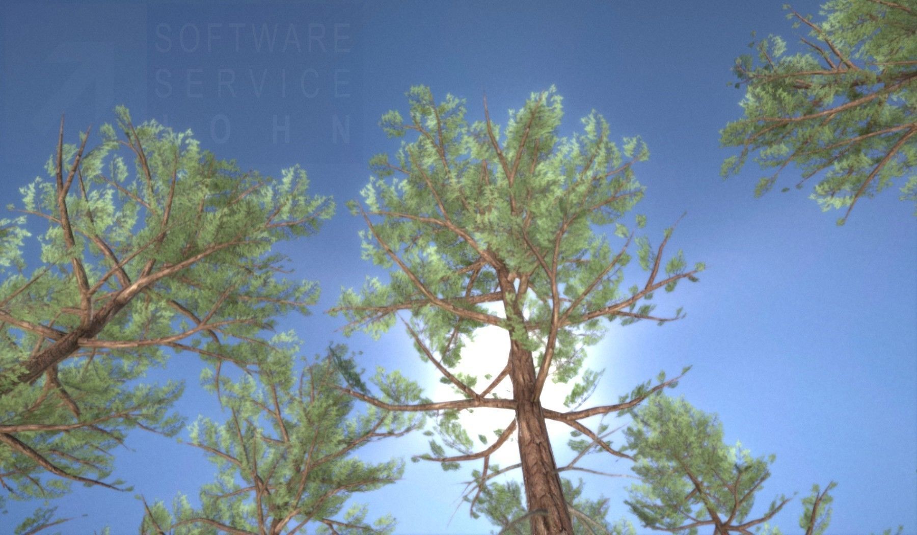 Pine Forest Scene Low-poly 3D model_112
