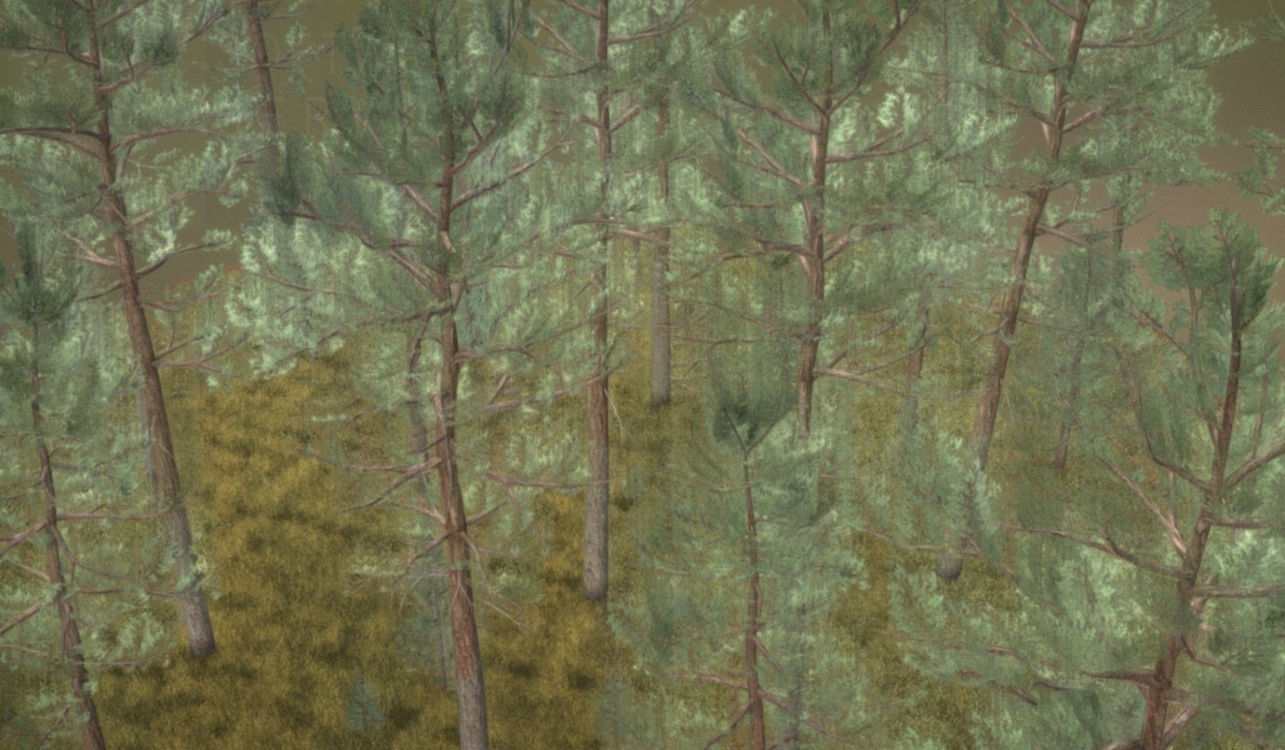 Pine Forest Scene Low-poly 3D model_88