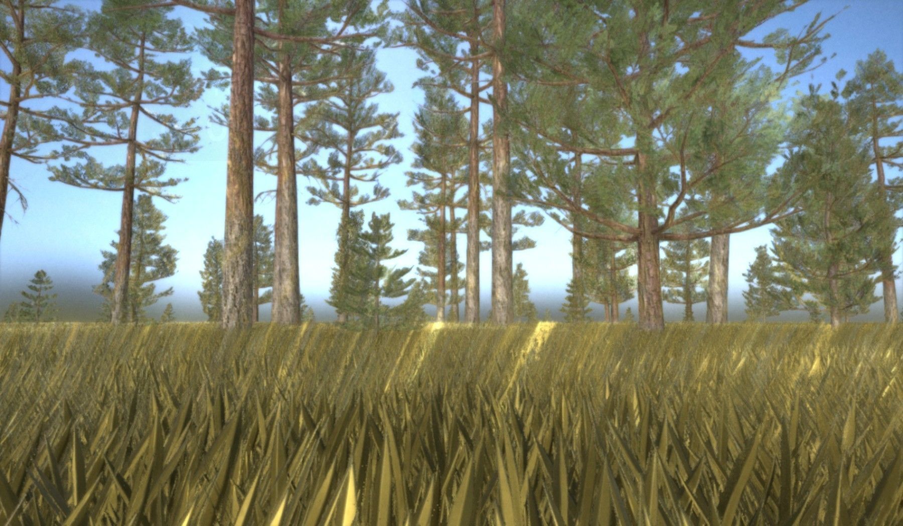 Pine Forest Scene Low-poly 3D model_49
