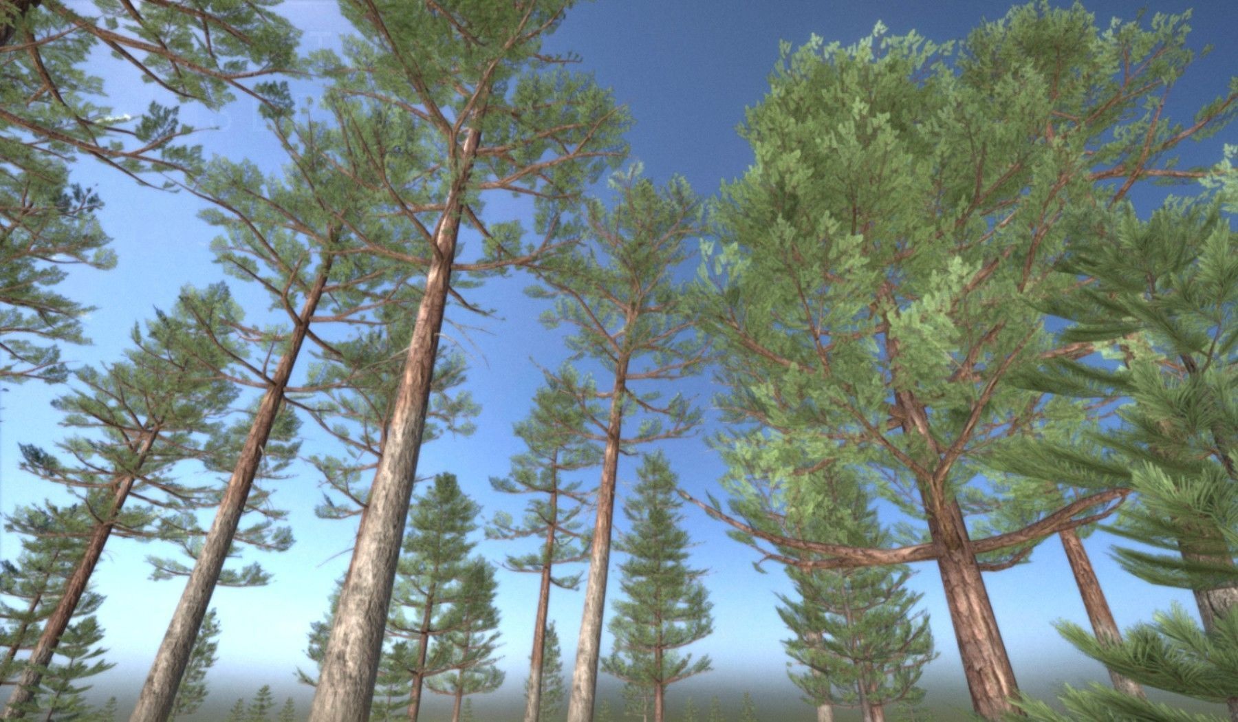 Pine Forest Scene Low-poly 3D model_5