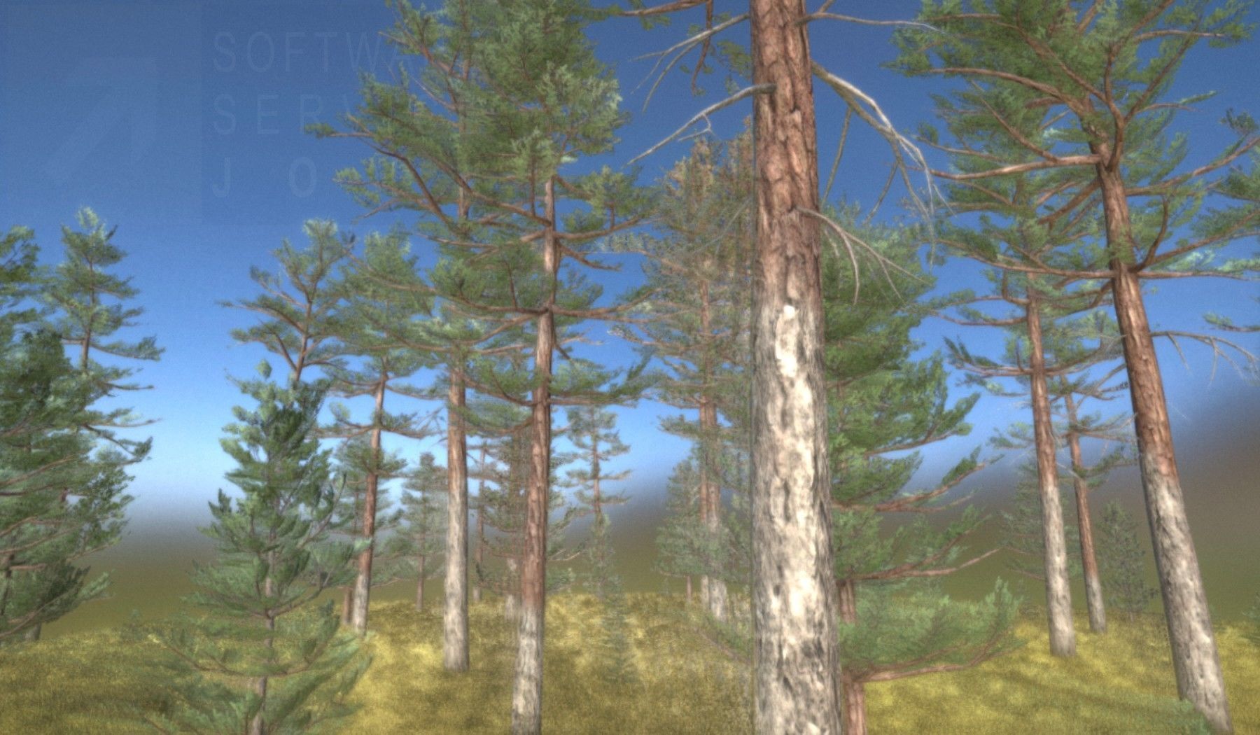 Pine Forest Scene Low-poly 3D model_30