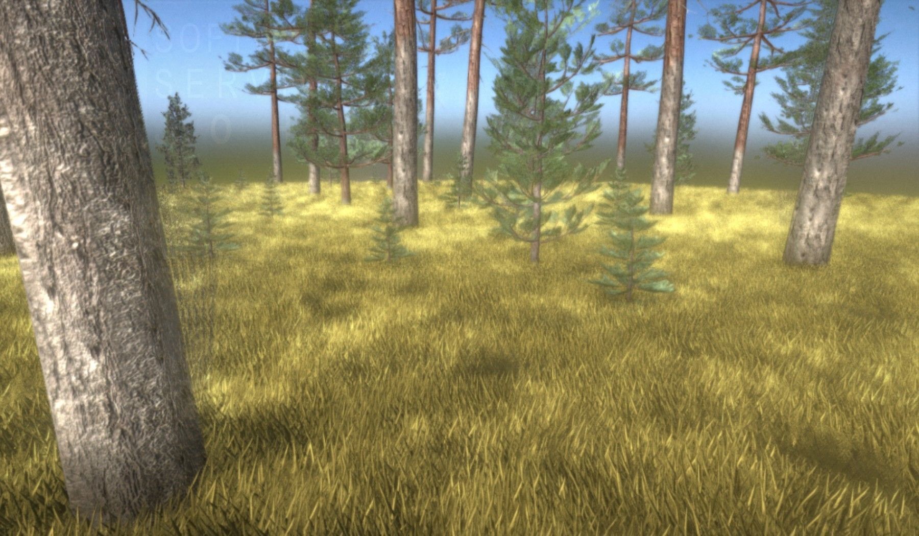 Pine Forest Scene Low-poly 3D model_11