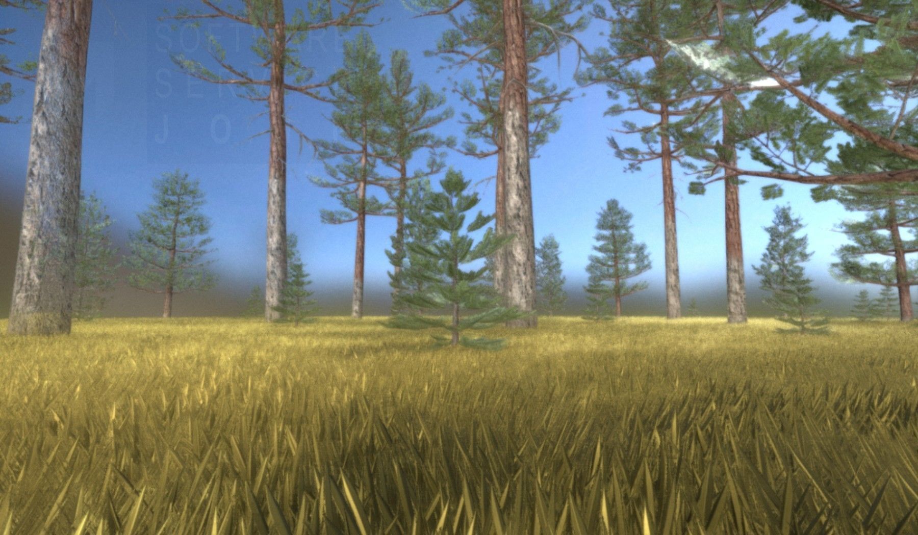 Pine Forest Scene Low-poly 3D model_105