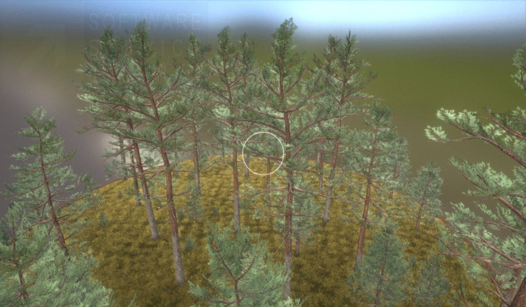 Pine Forest Scene Low-poly 3D model_31