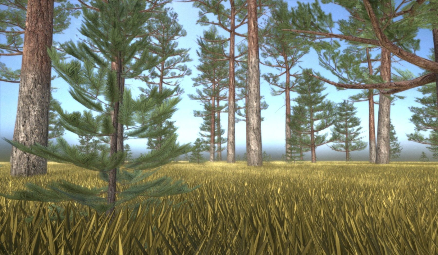 Pine Forest Scene Low-poly 3D model_46