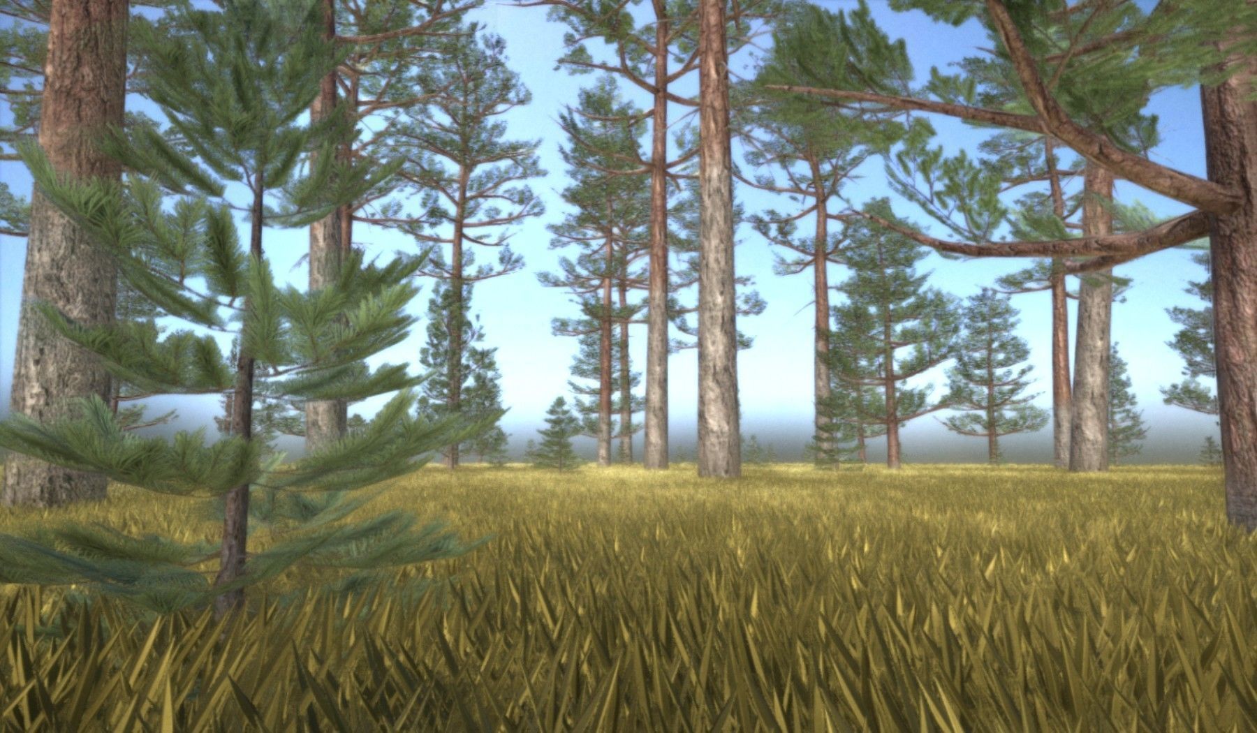 Pine Forest Scene Low-poly 3D model_45