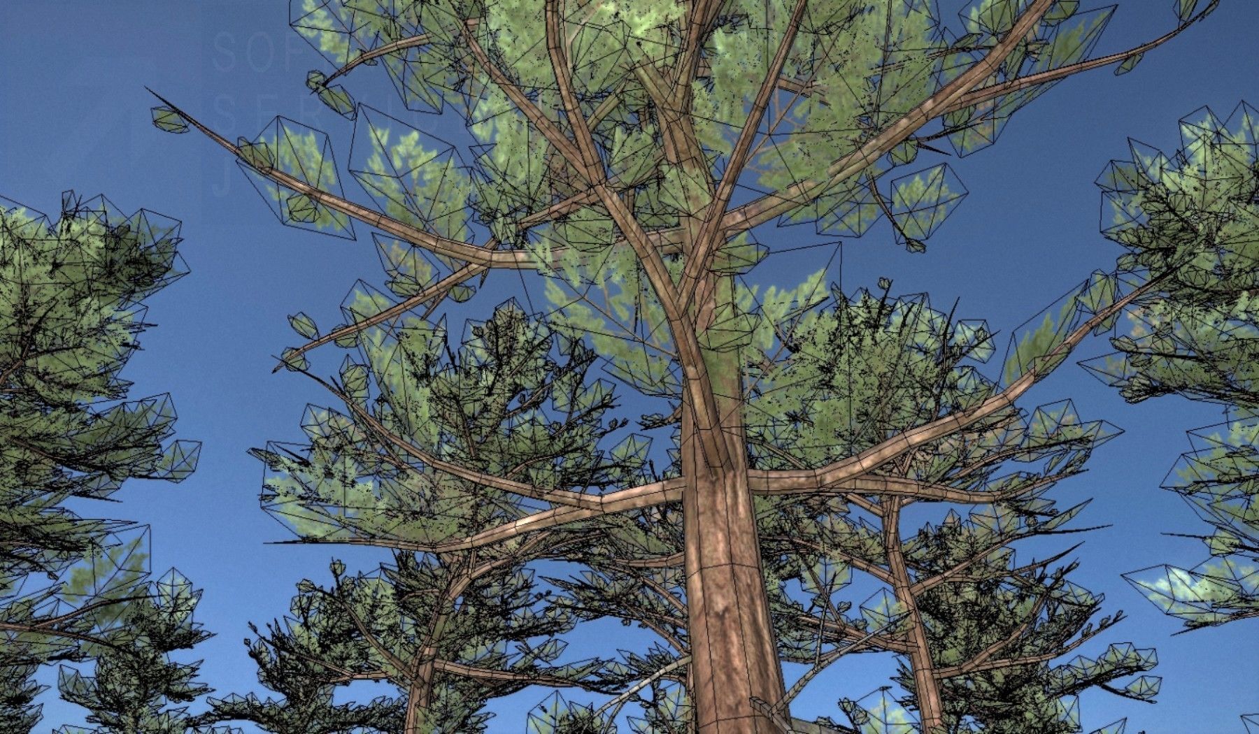 Pine Forest Scene Low-poly 3D model_66